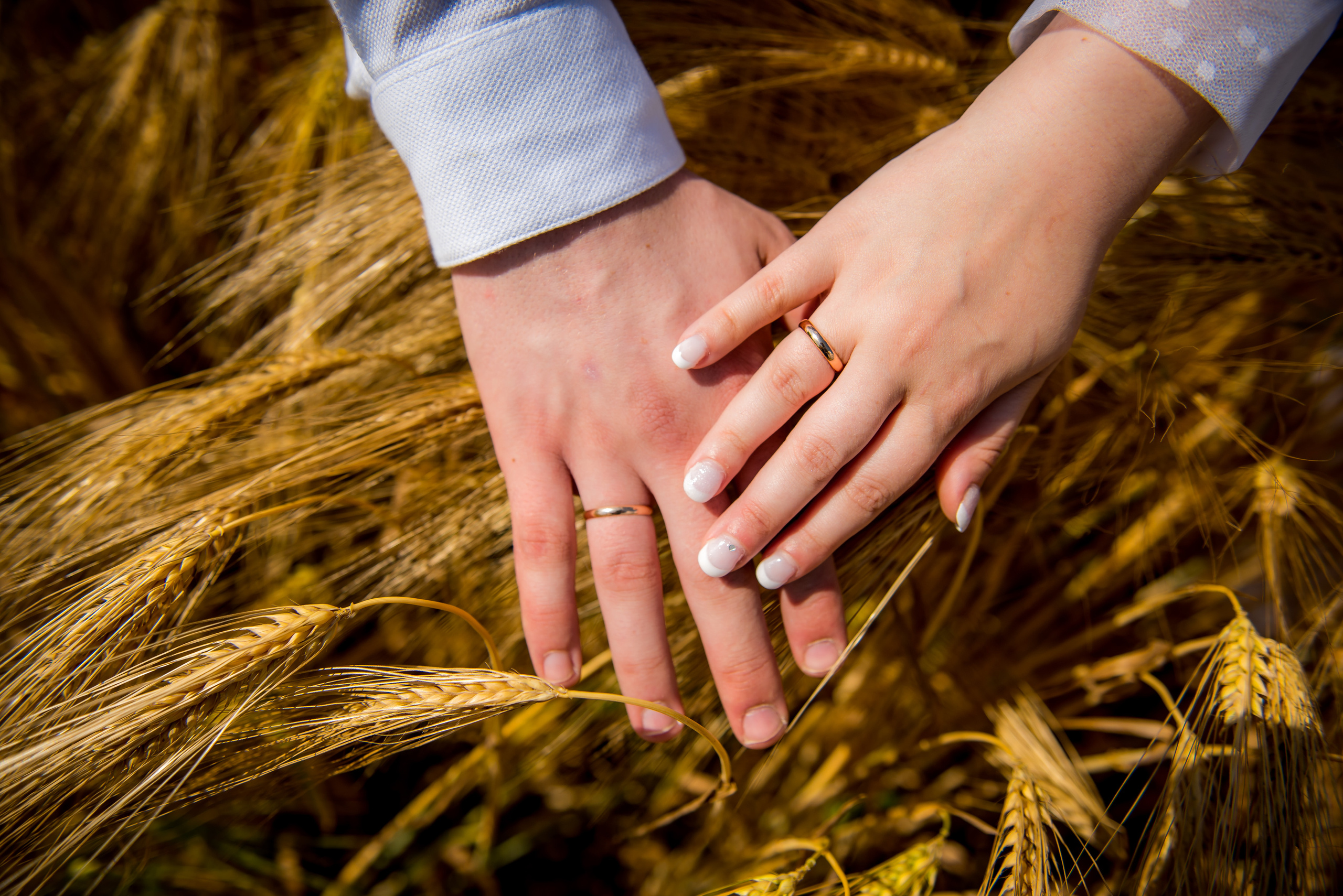 Pavel and Alena, Daugavpils. Свадебный фотограф. Европа. Свадьба. Латвия