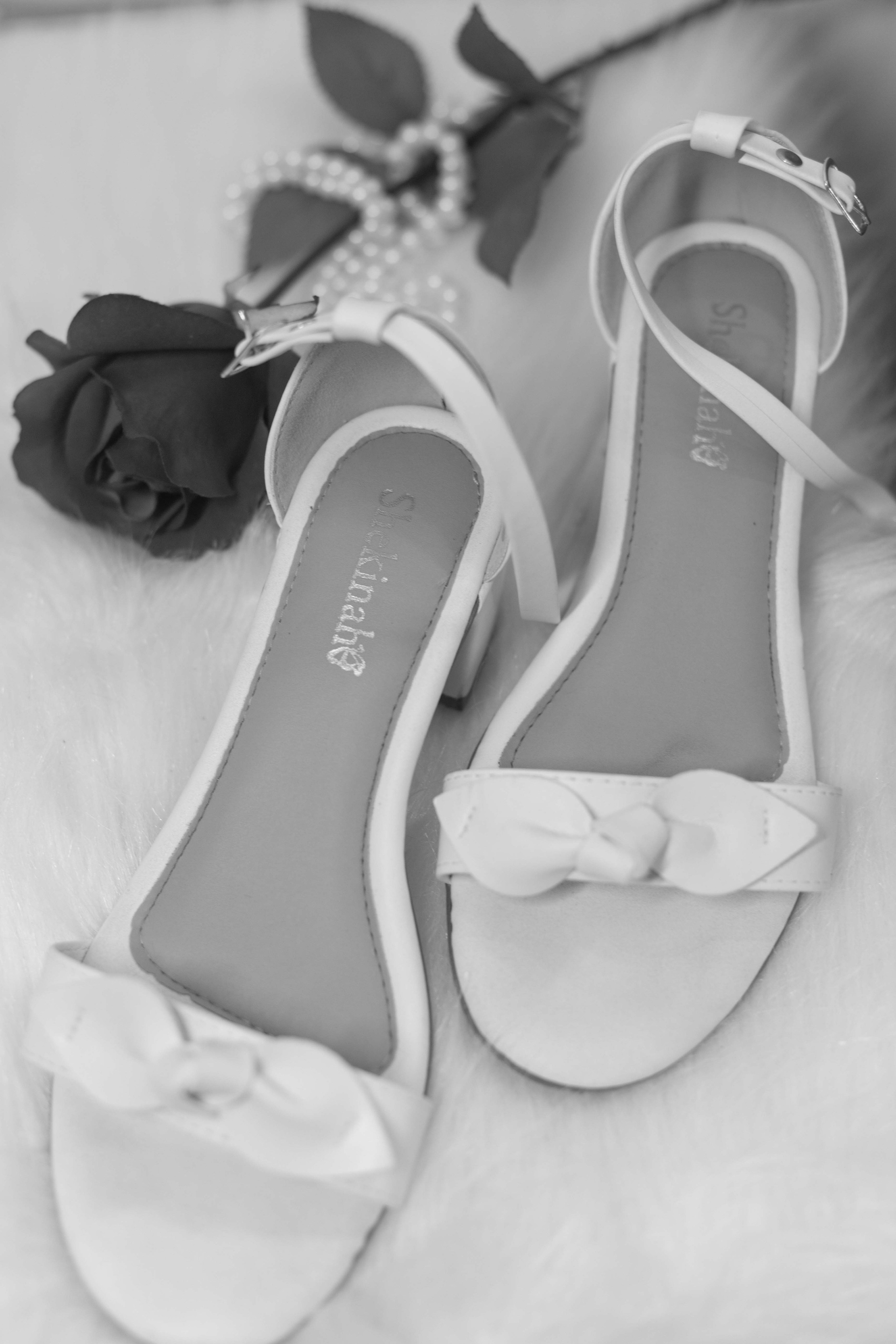 Valeria e Ramon. Bem-vindo ao Meu Mundo Fotográfico