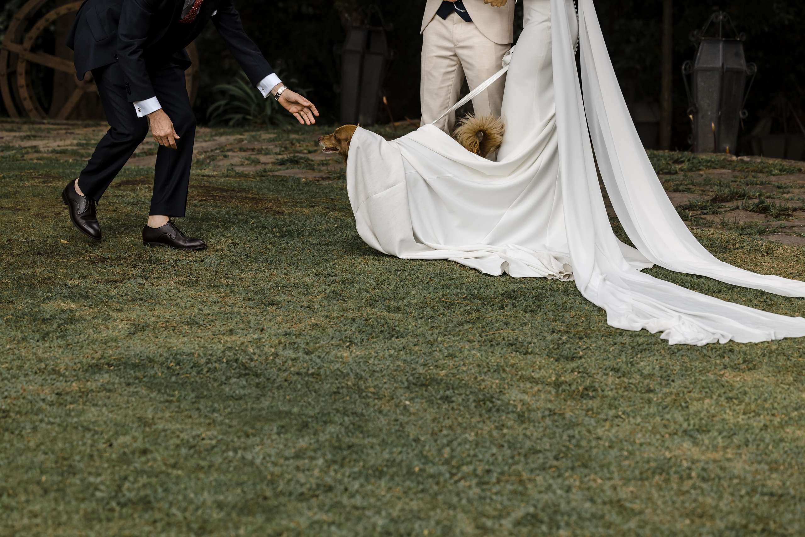 Glicínias Boutique Hotel Wedding in Guimarães | Pedro & Joana. Lisbon Wedding Photographer | Timeless Documentary Wedding Photography