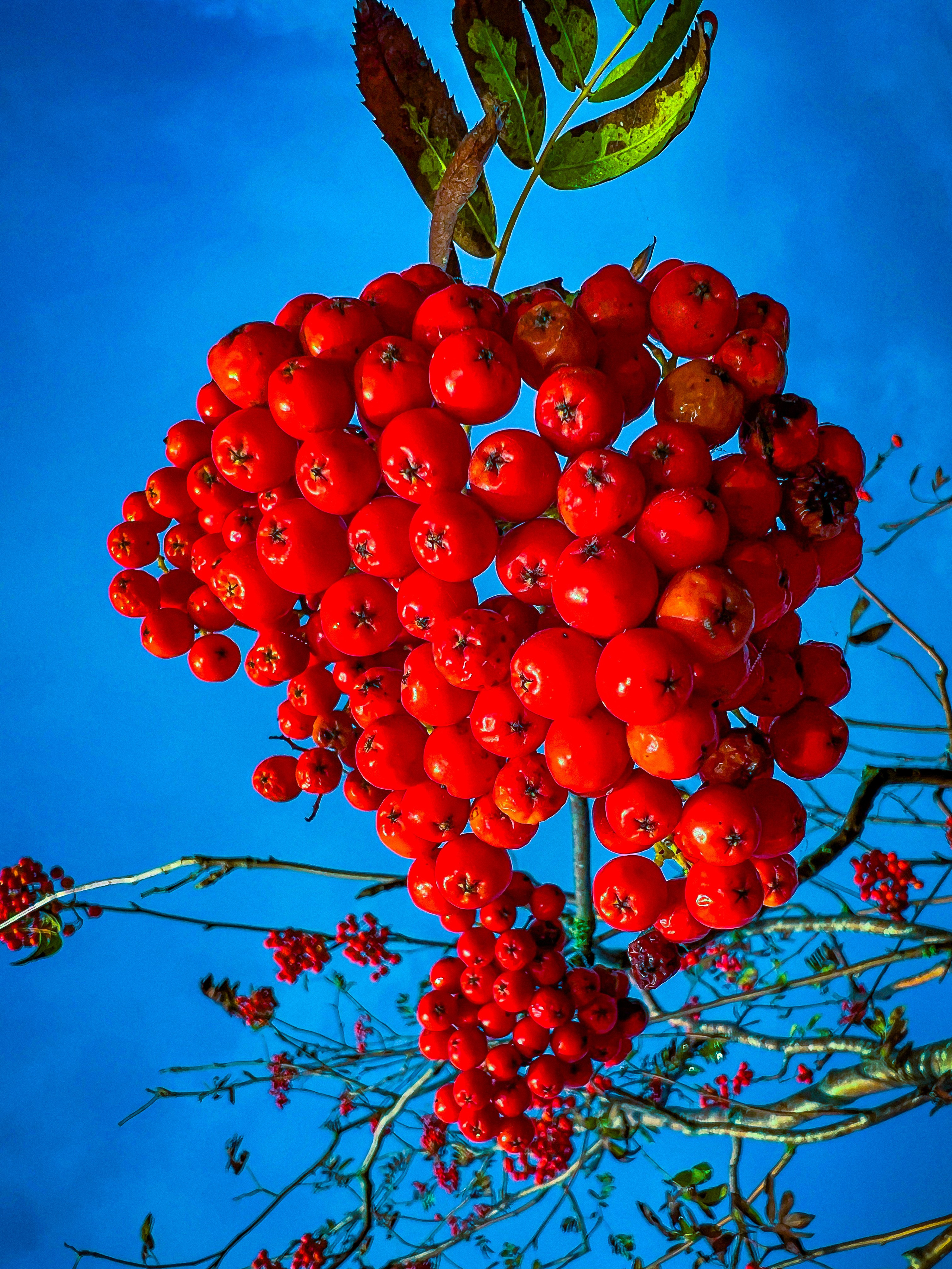 Ästhetik. Fotografin Kati Rebling