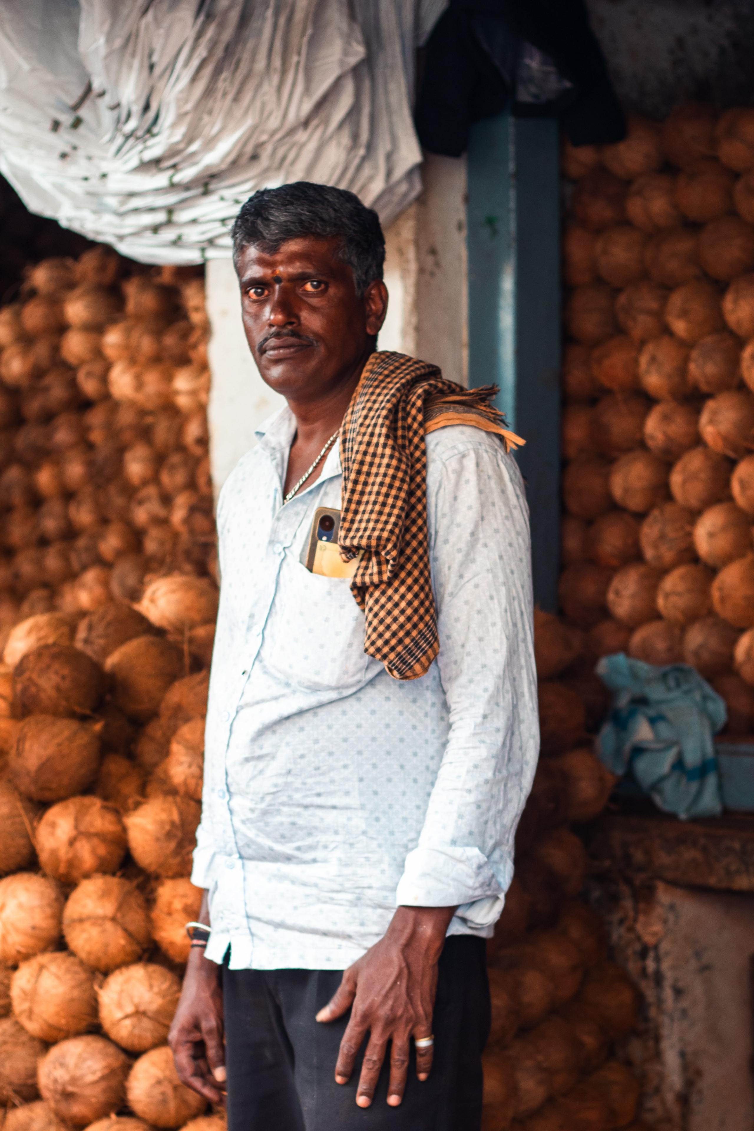 India. Look Around You