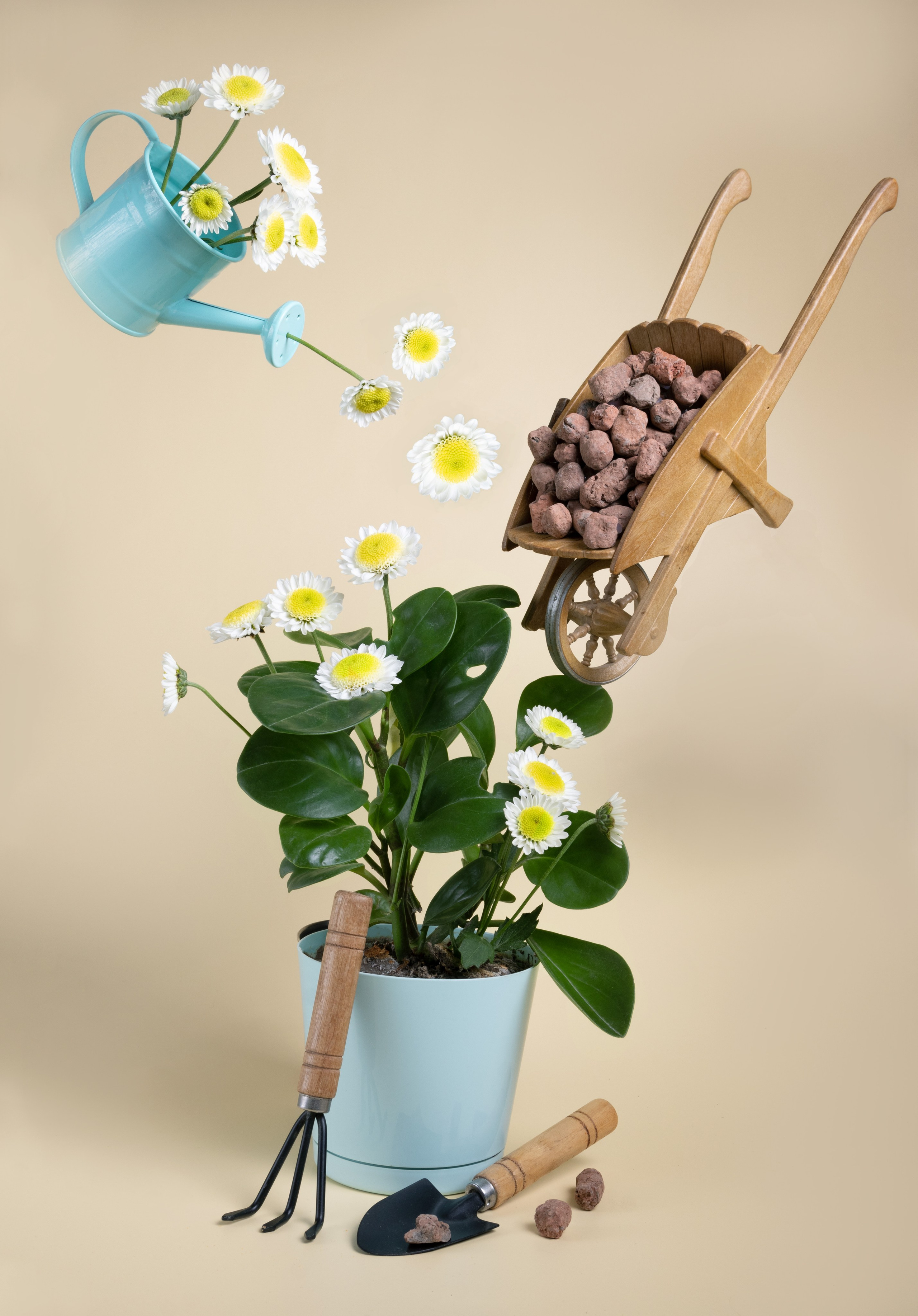 Предметная съемка. Семейный и рекламный фотограф в Ташкенте Мария Кудрявцева