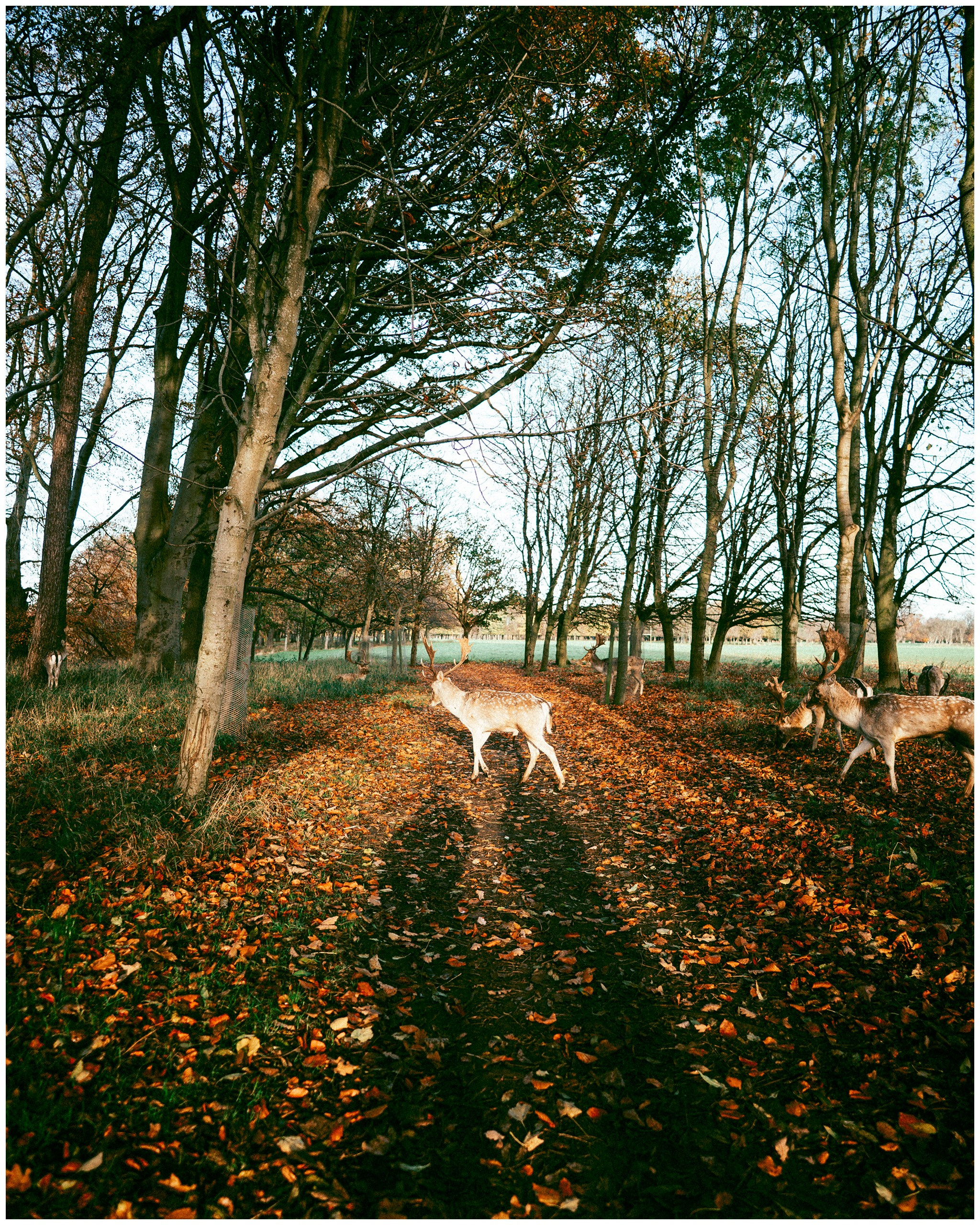 IRELAND. Inna Mendelson — Photographer