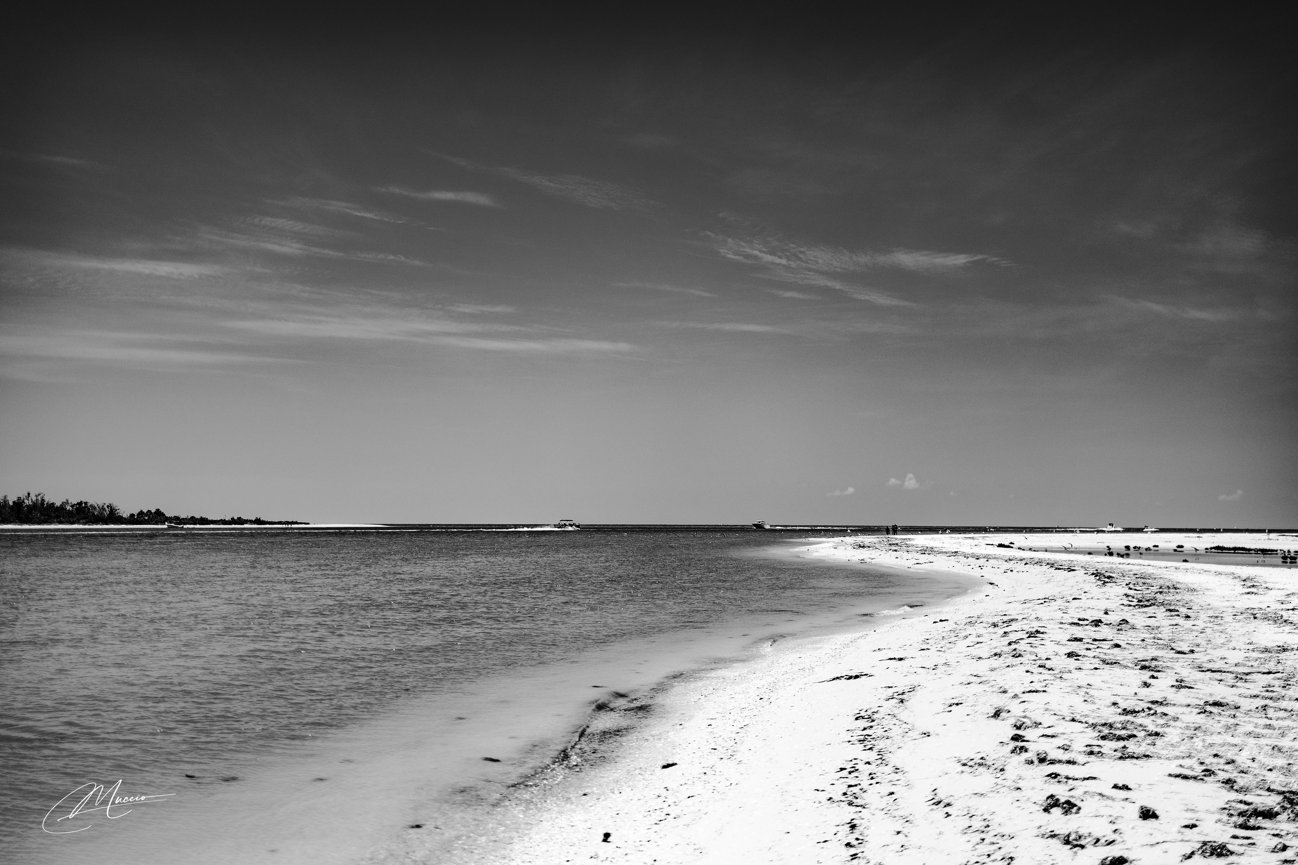 Florida Man — Fort Myers Walkabout. Out and About 239