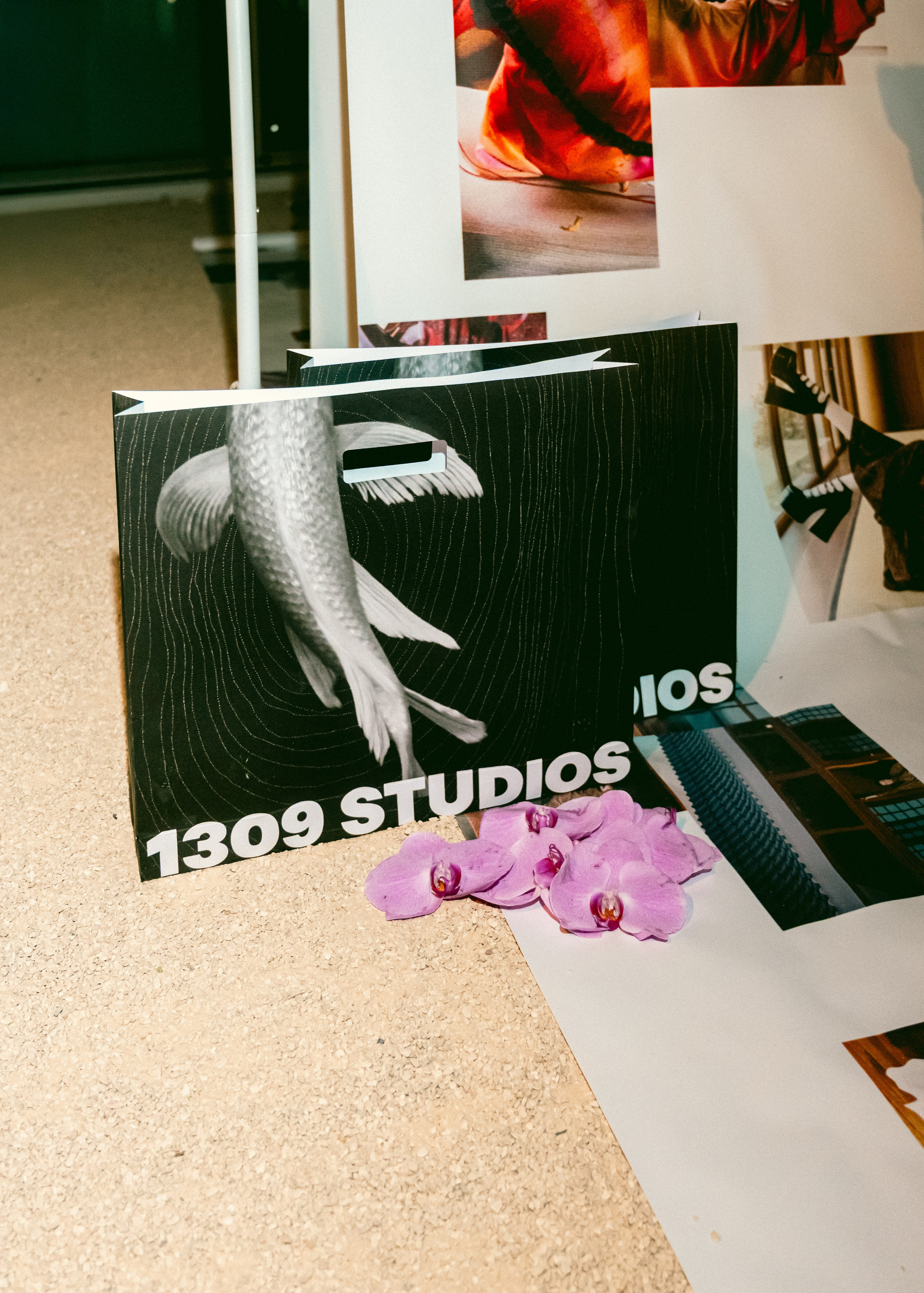 1309 Studios. Versoluna