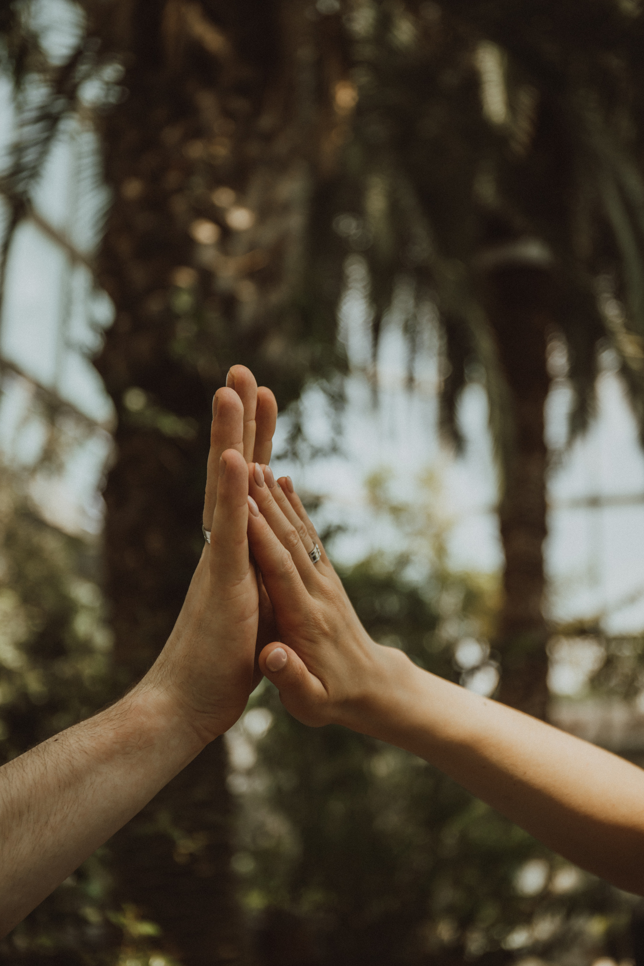 ALONA ROMAN. Fotograf Mykhalchuk Inna Kraków