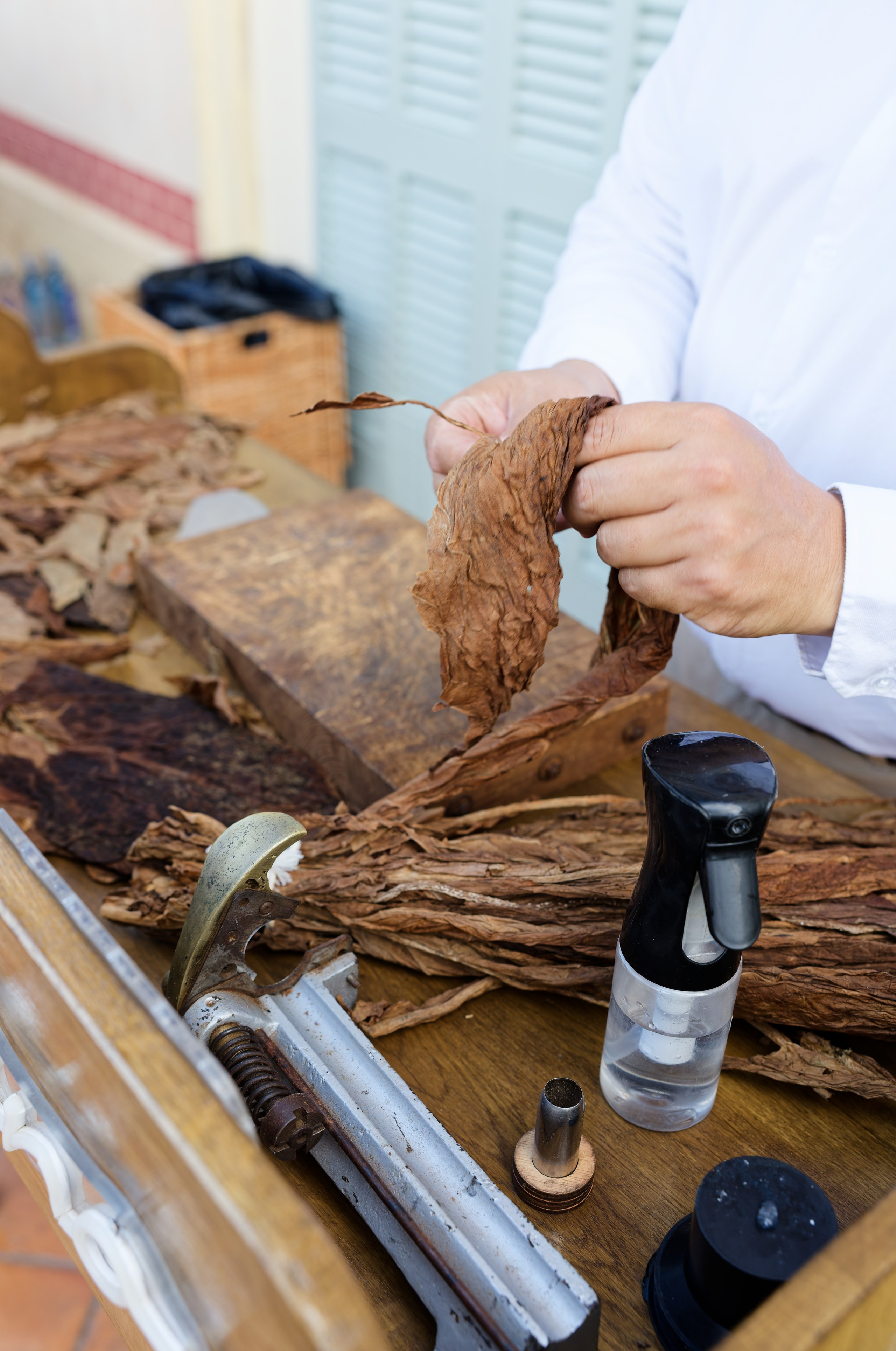 Welcome dinner of Gracie & Joe at Gran Villa Rosa