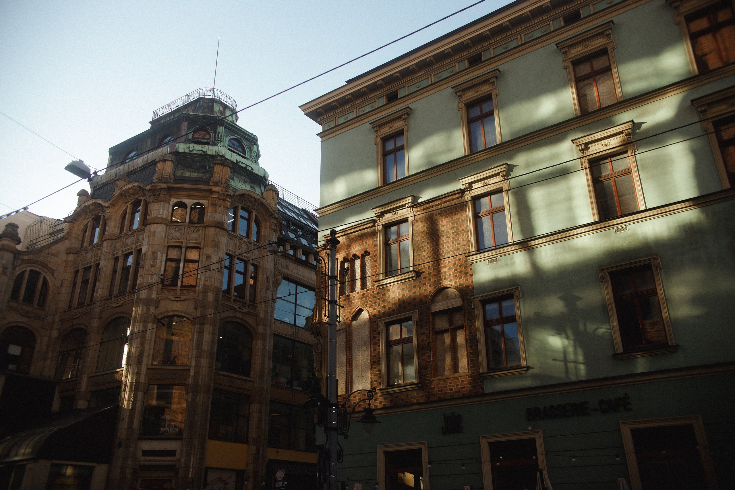 Nastya. Kaja | fotograf psów we Wrocławiu