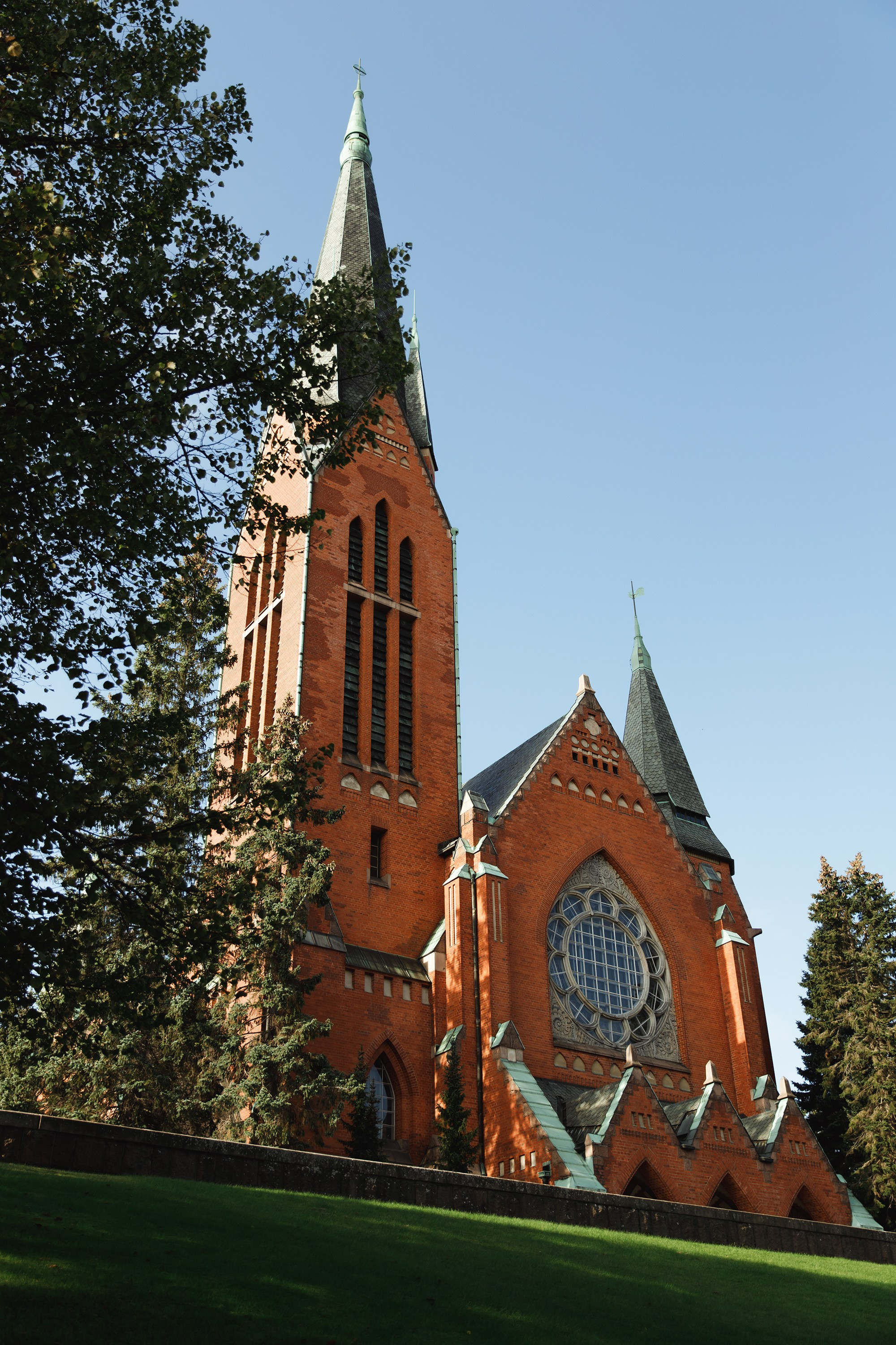 Turku. Kaja | fotograf psów we Wrocławiu