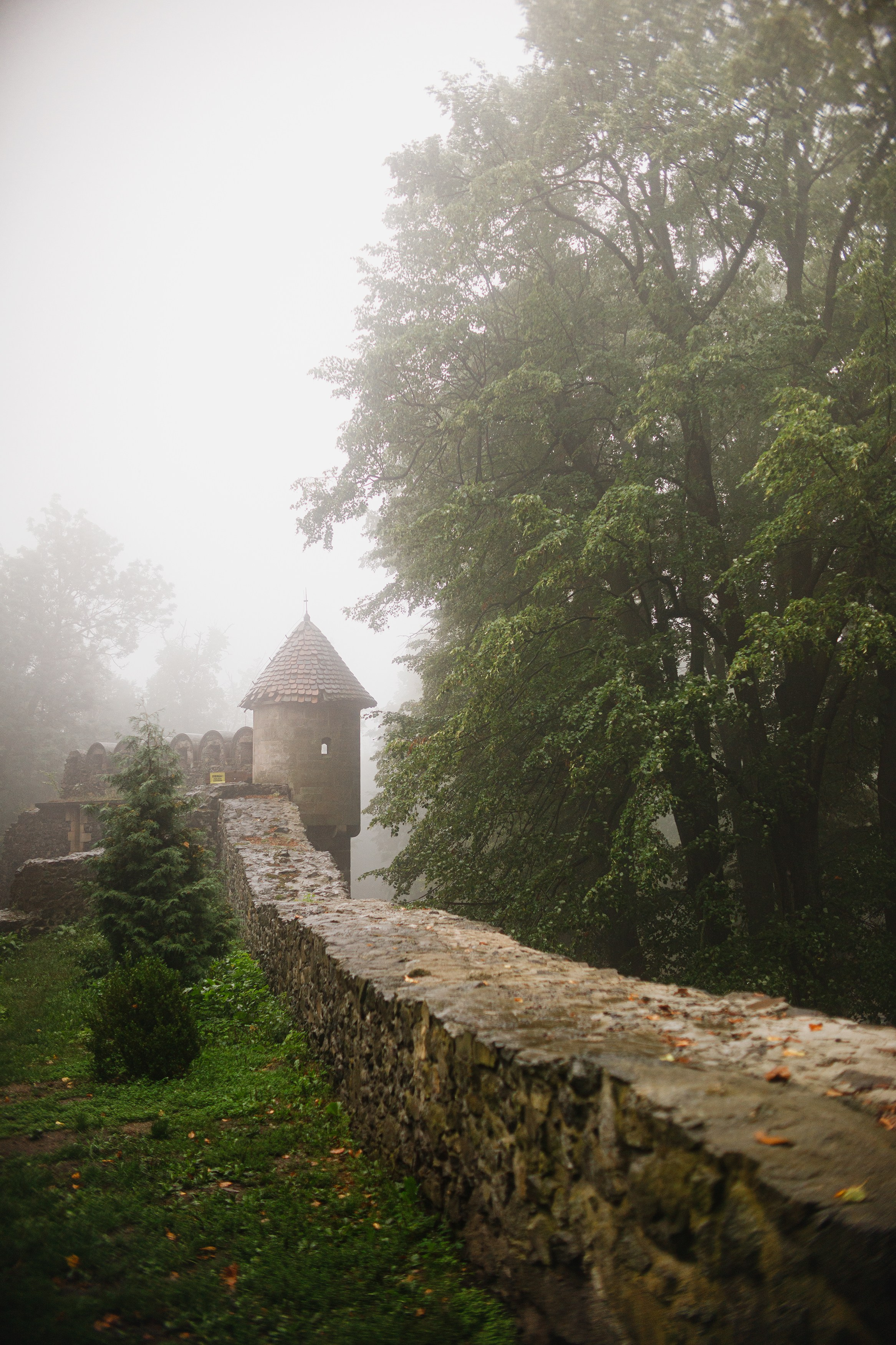 Zamek Grodziec. Kaja | fotograf psów we Wrocławiu