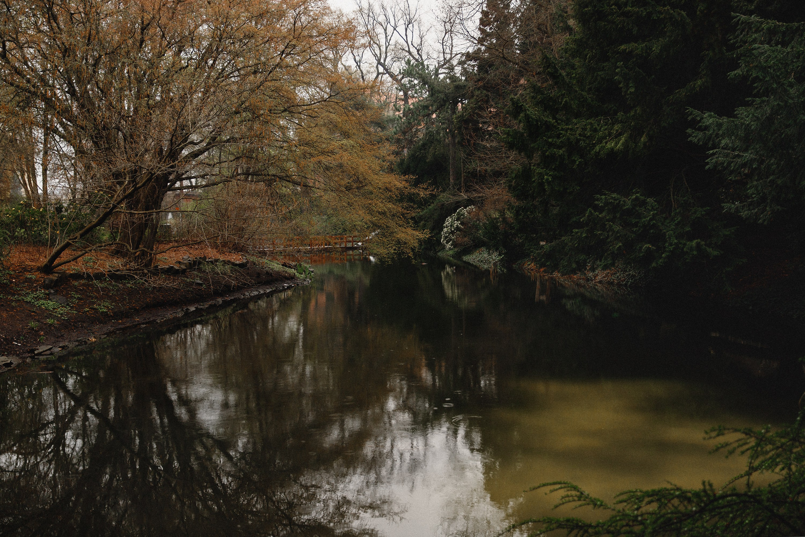 Botanical garden in Wroclaw. Kaja | fotograf we Wrocławiu | ludzie i psy
