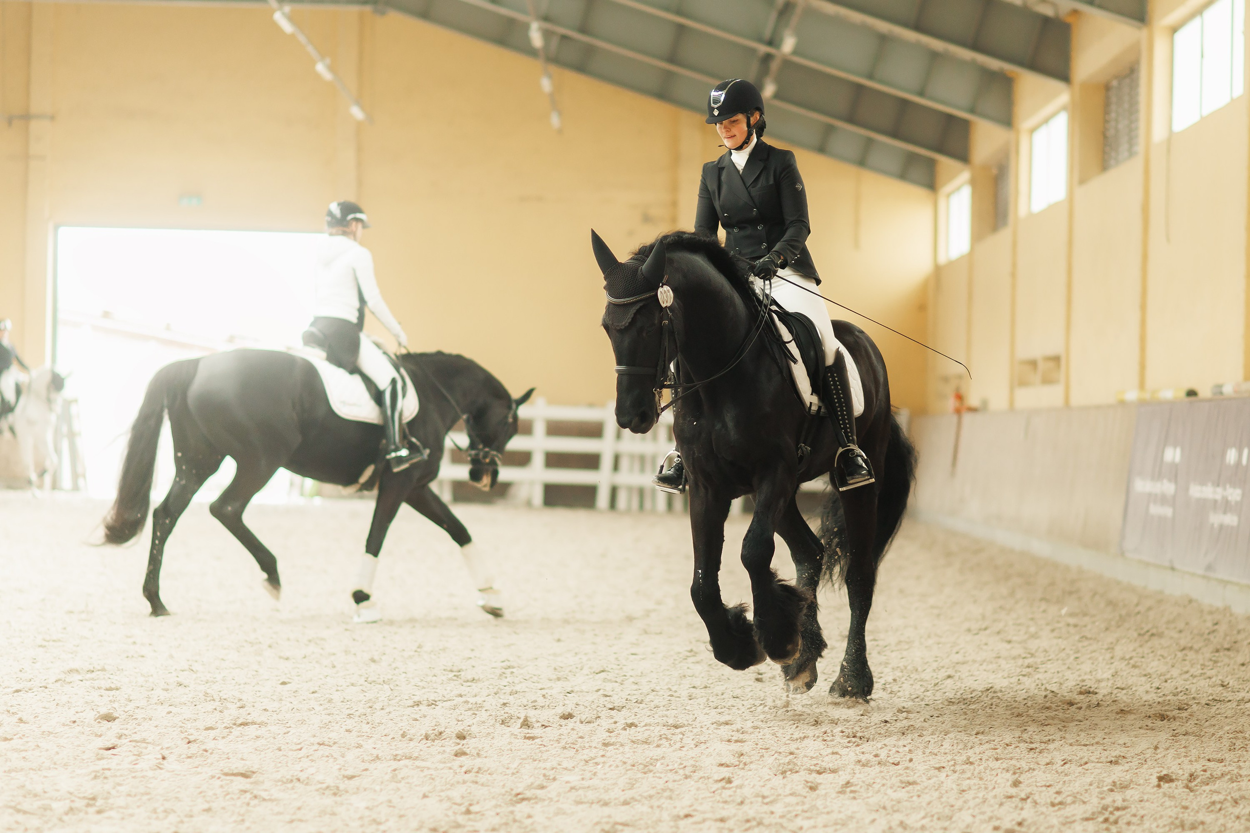 Fotografia koni Wrocław \ ujeżdżenie, Partynice. Kaja | fotograf we Wrocławiu | ludzie i psy