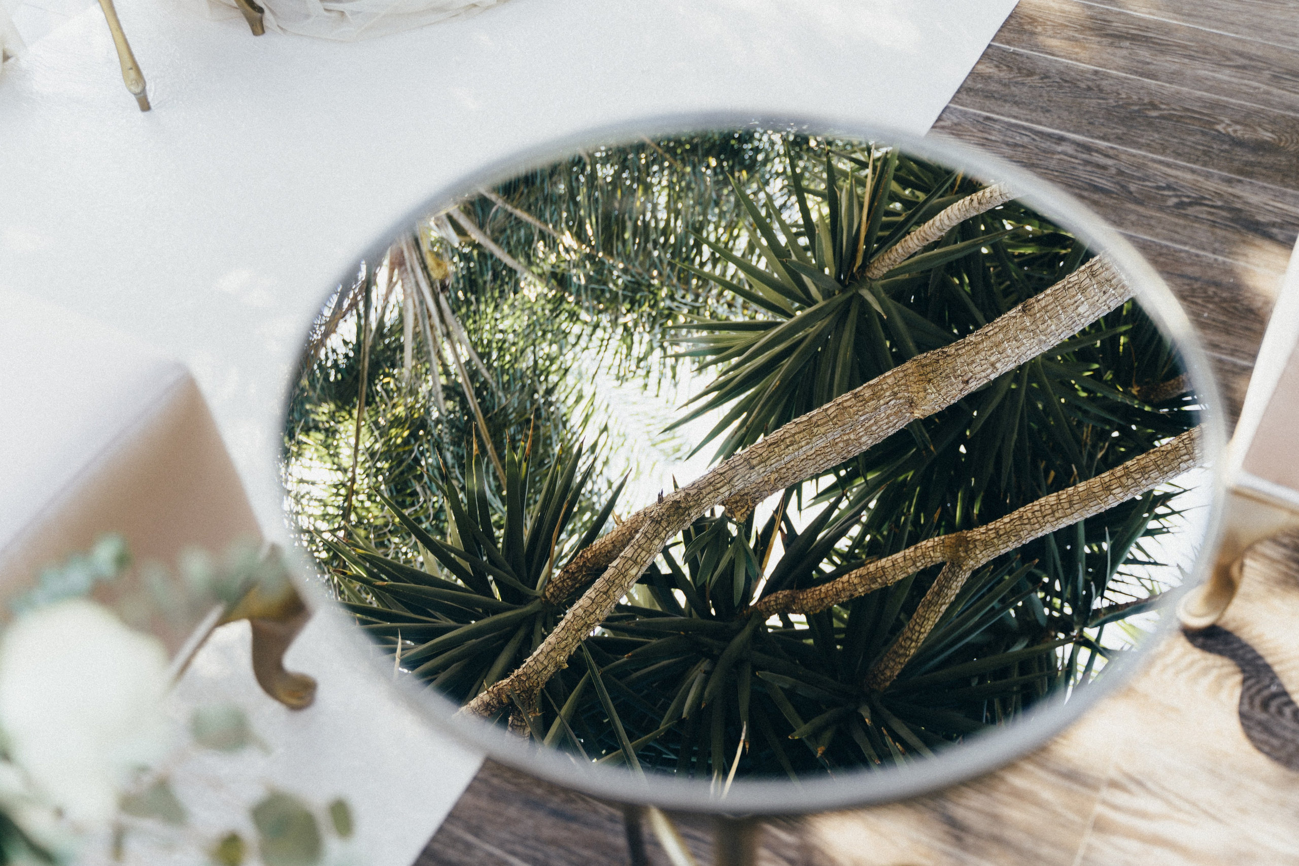 Fotografa em Portugal Alexandra Efimova