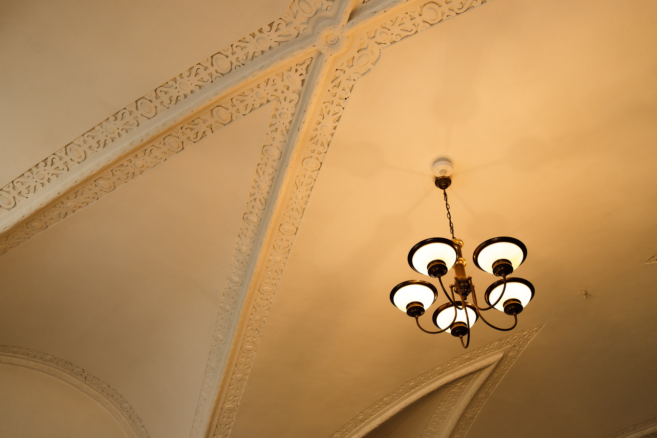 Oleśnica castle. Kaja | fotograf psów we Wrocławiu