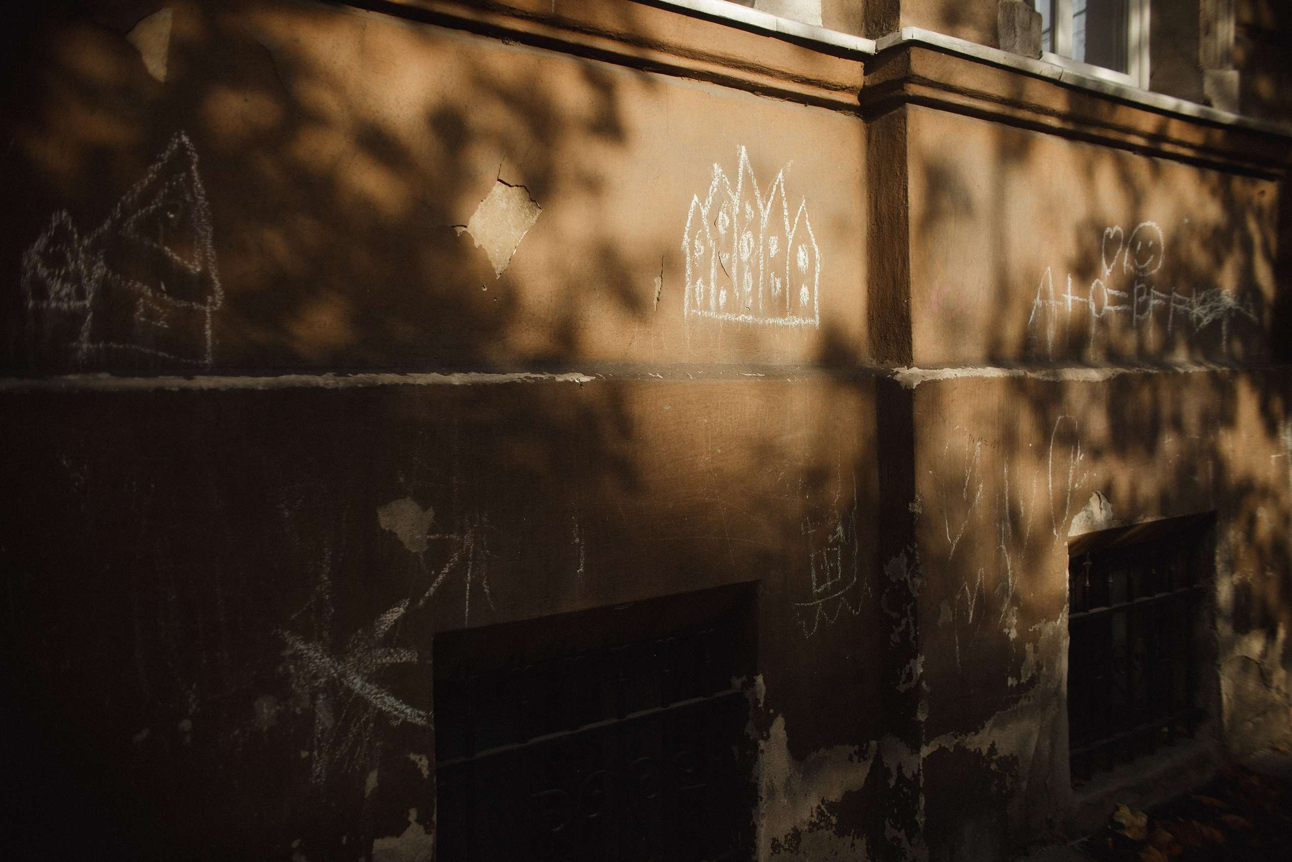 Nastya. Kaja | fotograf psów we Wrocławiu