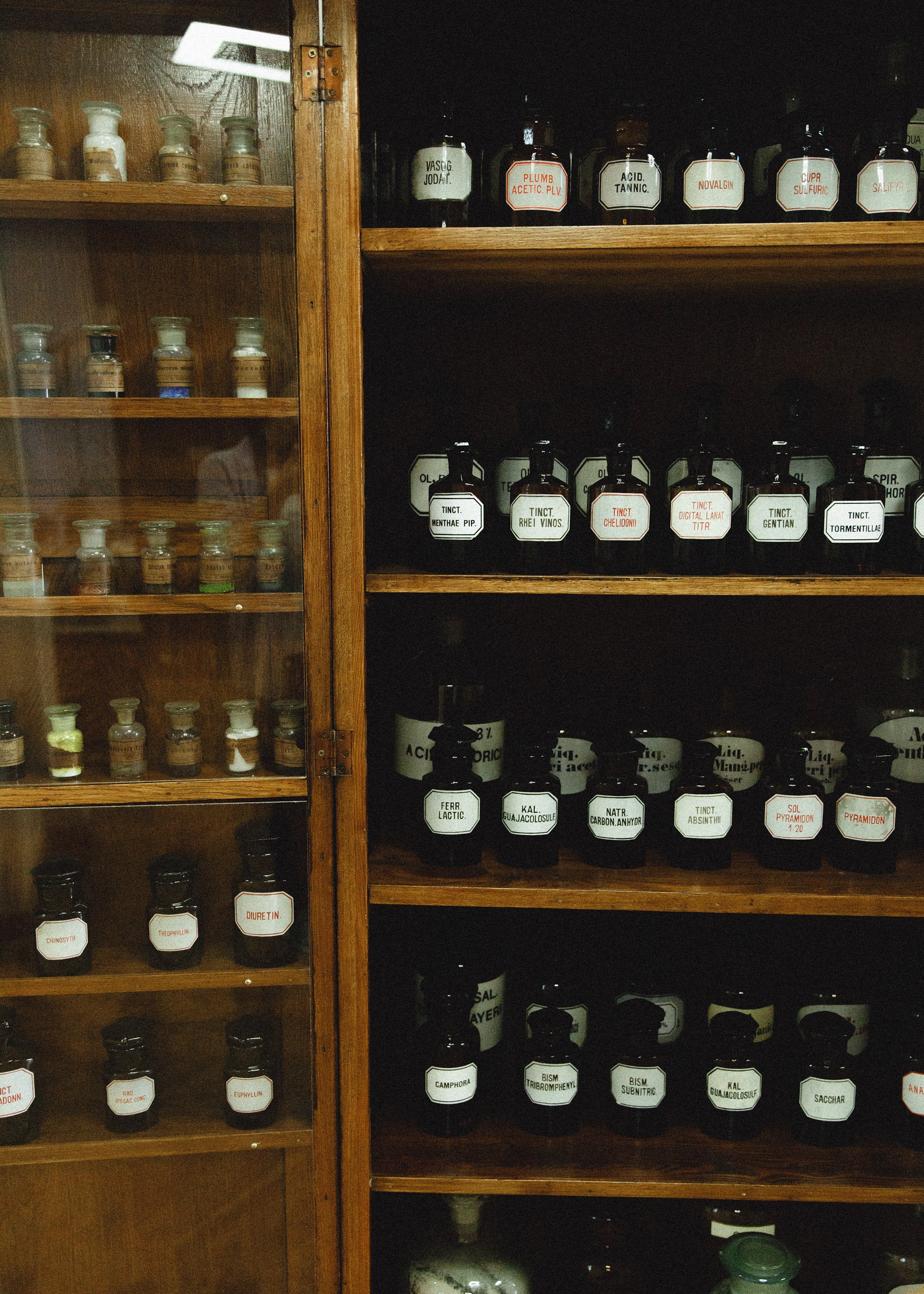 Museum of farmacy in Wroclaw. Kaja | fotograf we Wrocławiu | ludzie i psy