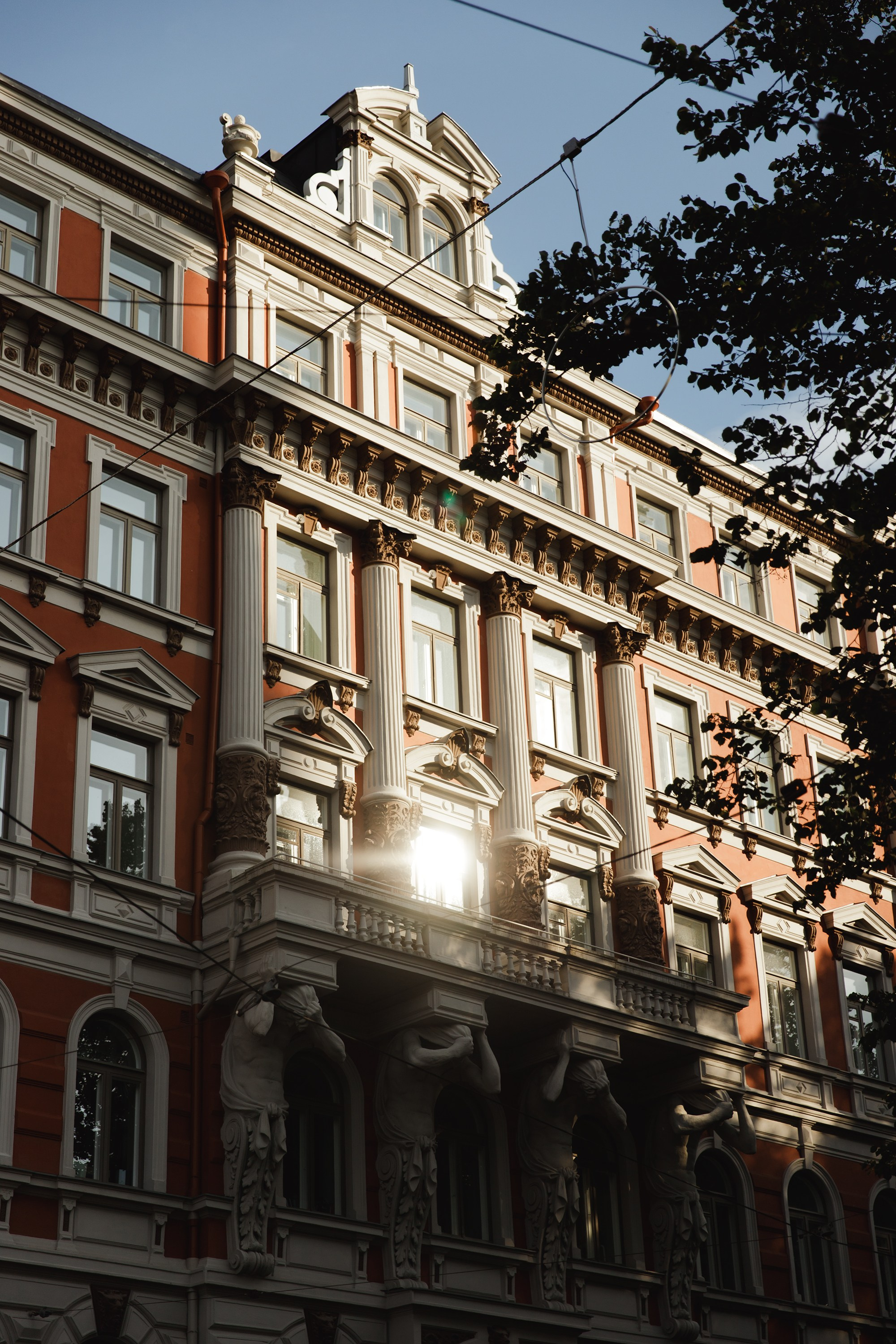 Helsinki. Kaja | fotograf psów we Wrocławiu