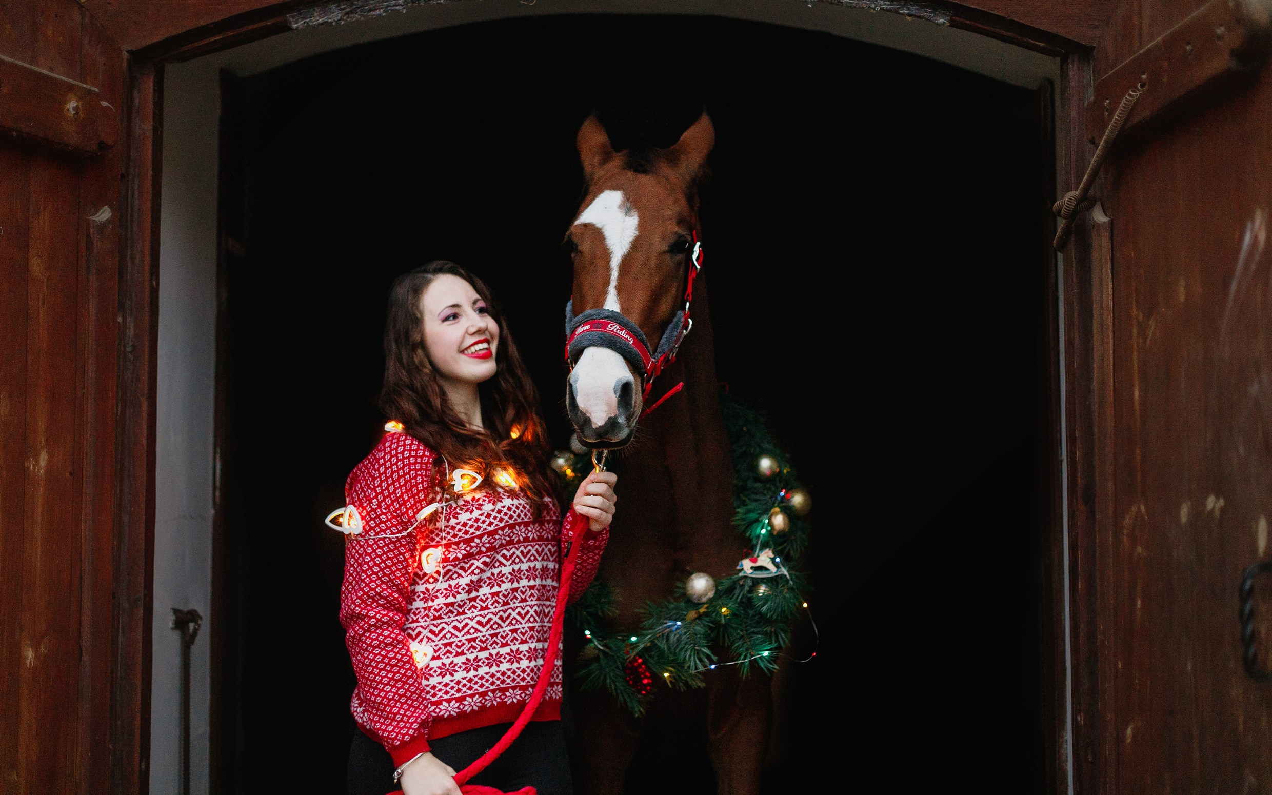 Aibike | winter. Kaja | fotograf psów we Wrocławiu