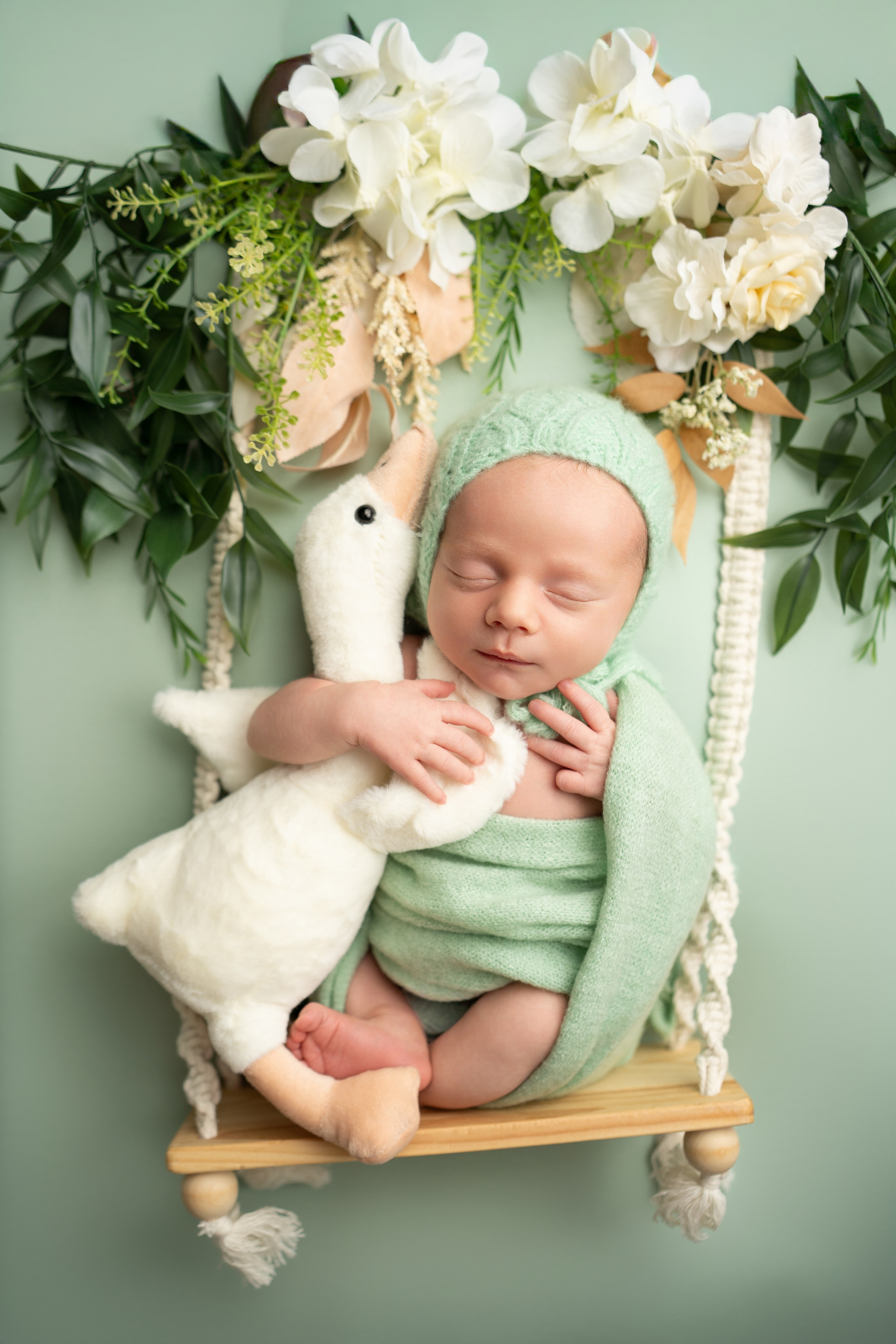 Posed Newborn. Maternity, family and newborn photography in San Francisco Bay Area