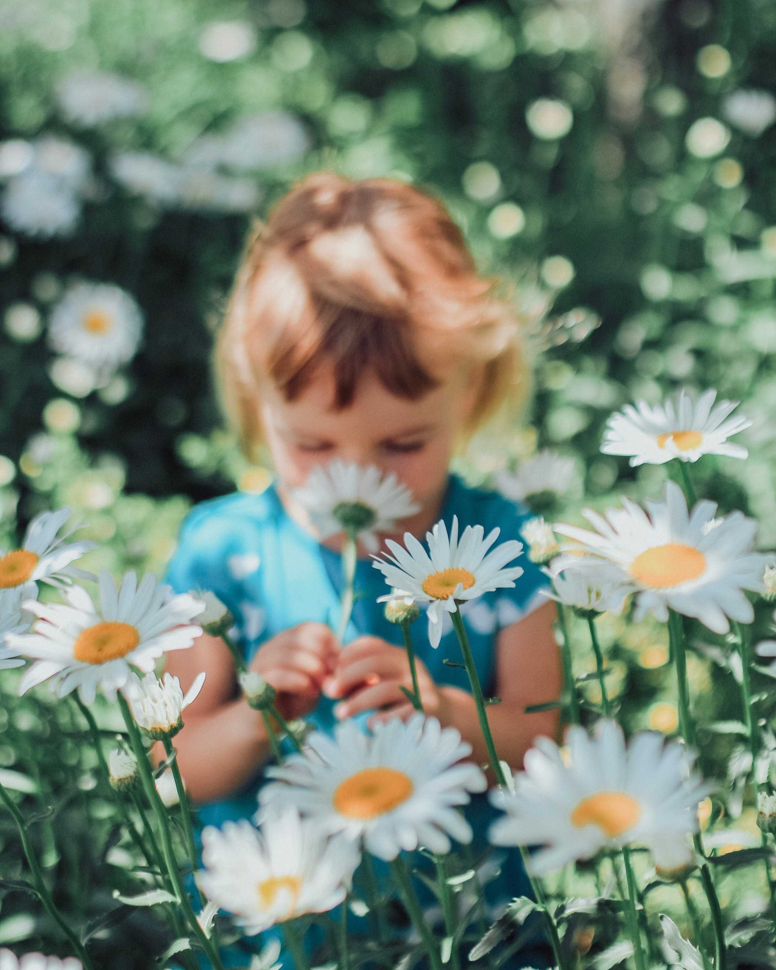 Maternity, family and newborn photography in San Francisco Bay Area