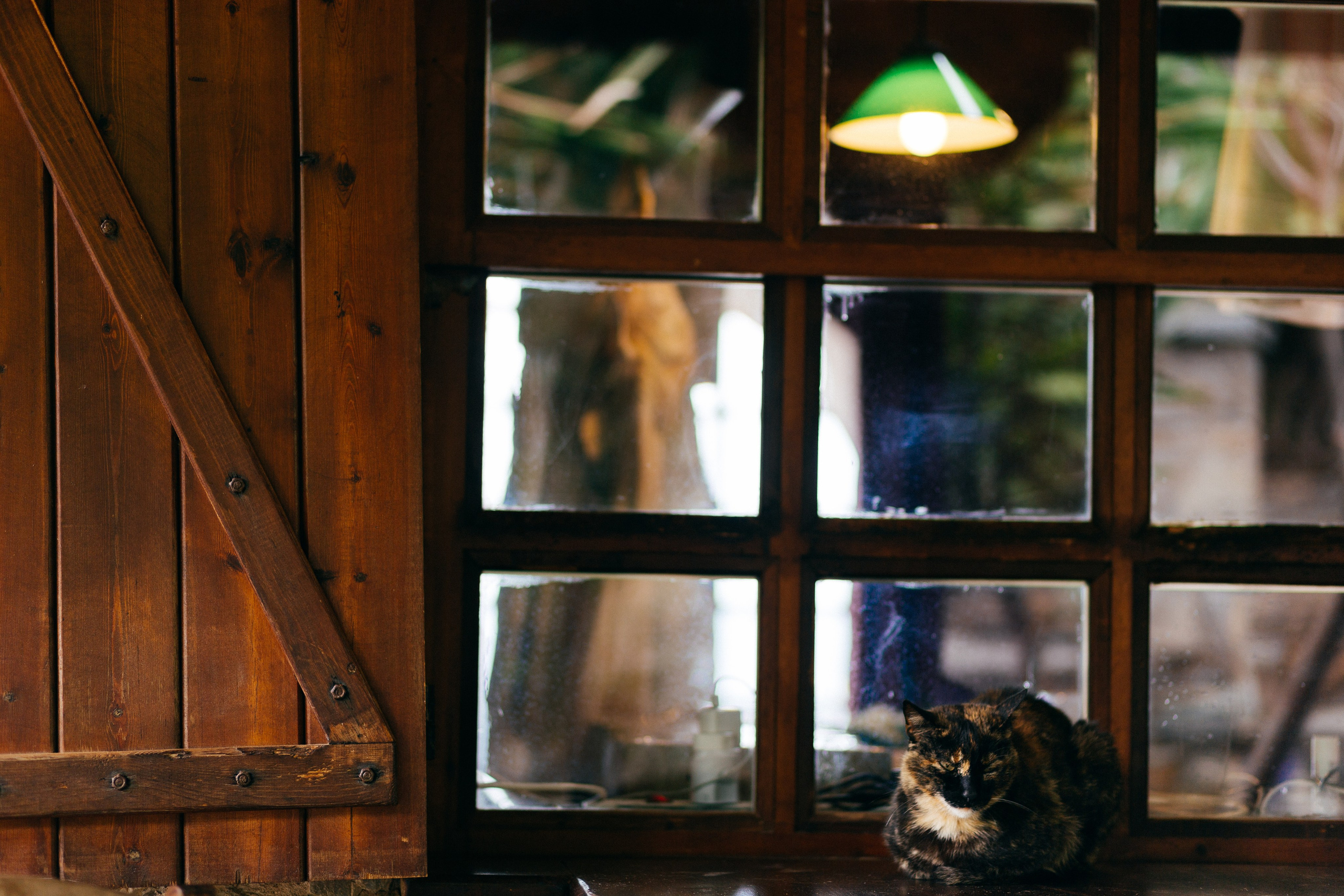 Gavin & Jessica, Evia. Denny Savon — Photographer in Santorini | Weddings, Love Stories & Flying Dress