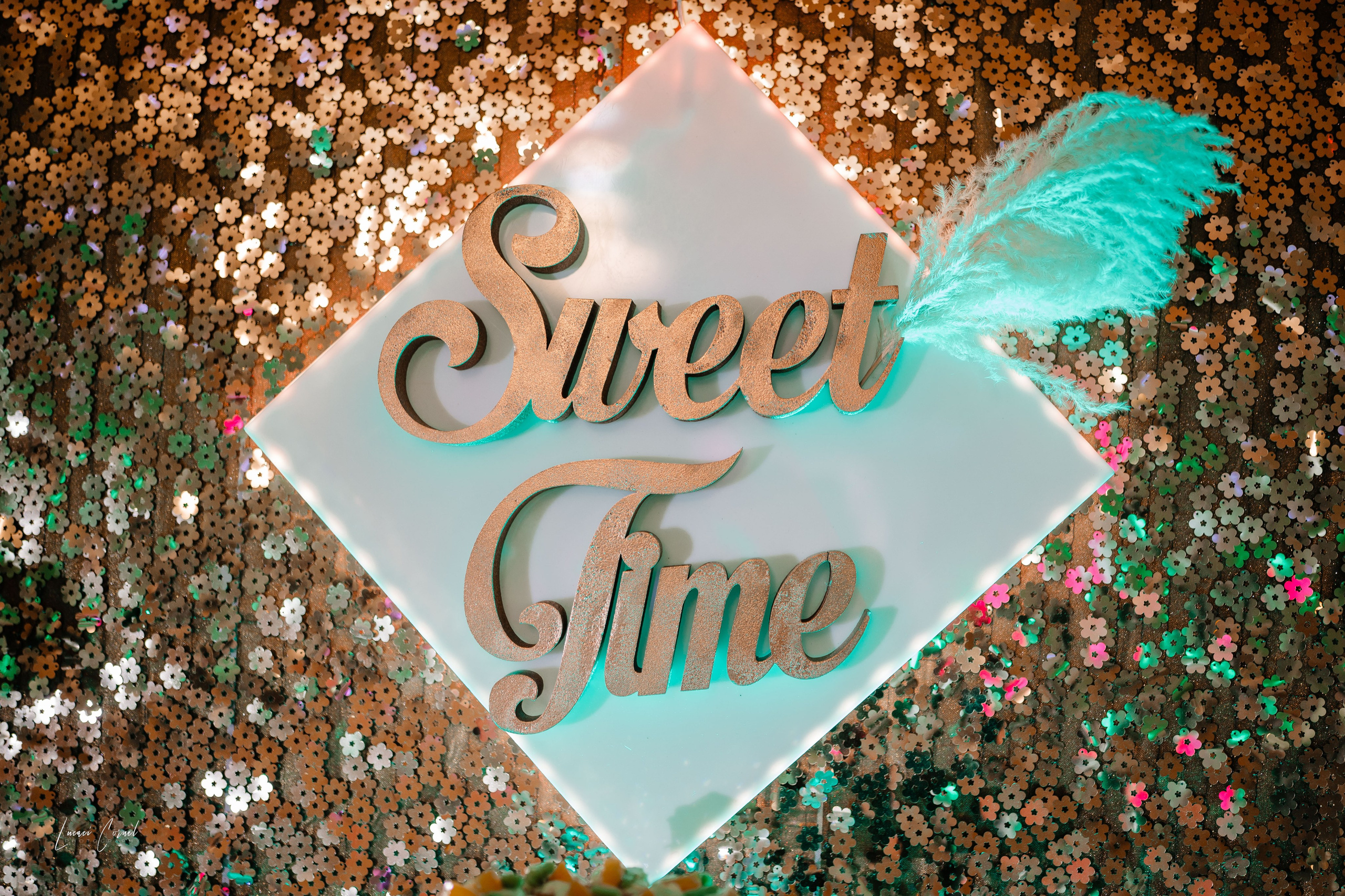 Roxana & Andrei – Nuntă de vis. Fotograf de nuntă, corporate, botezuri, majorate și aniversări Roman, Lucaci Cornel