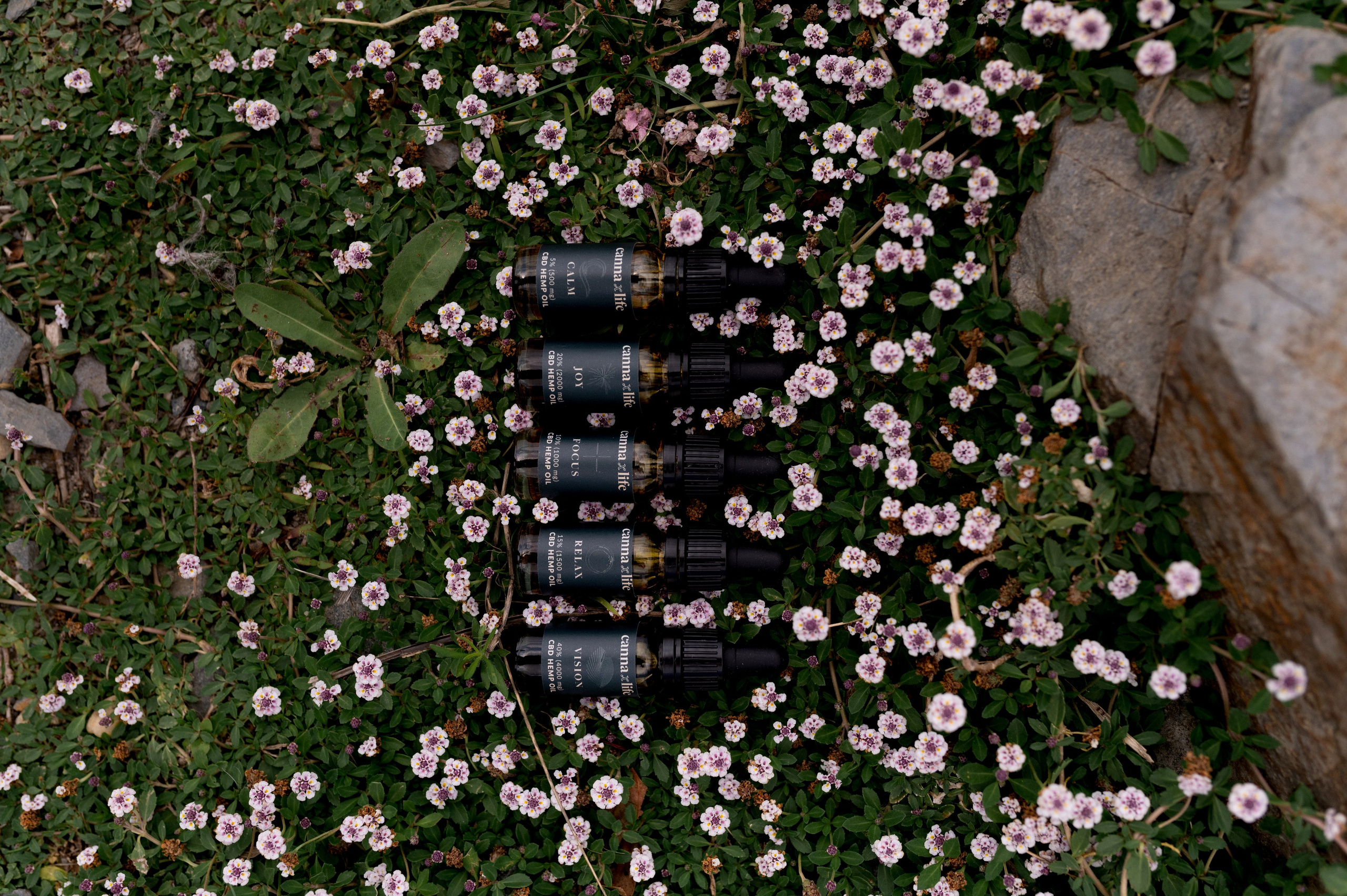 CannaXlife CBD products. ANNA-MARIA PHOTO CONTENT CREATOR — фотограф, эстет, художник и визуальный эксперт в Instagram, работающий в Праге