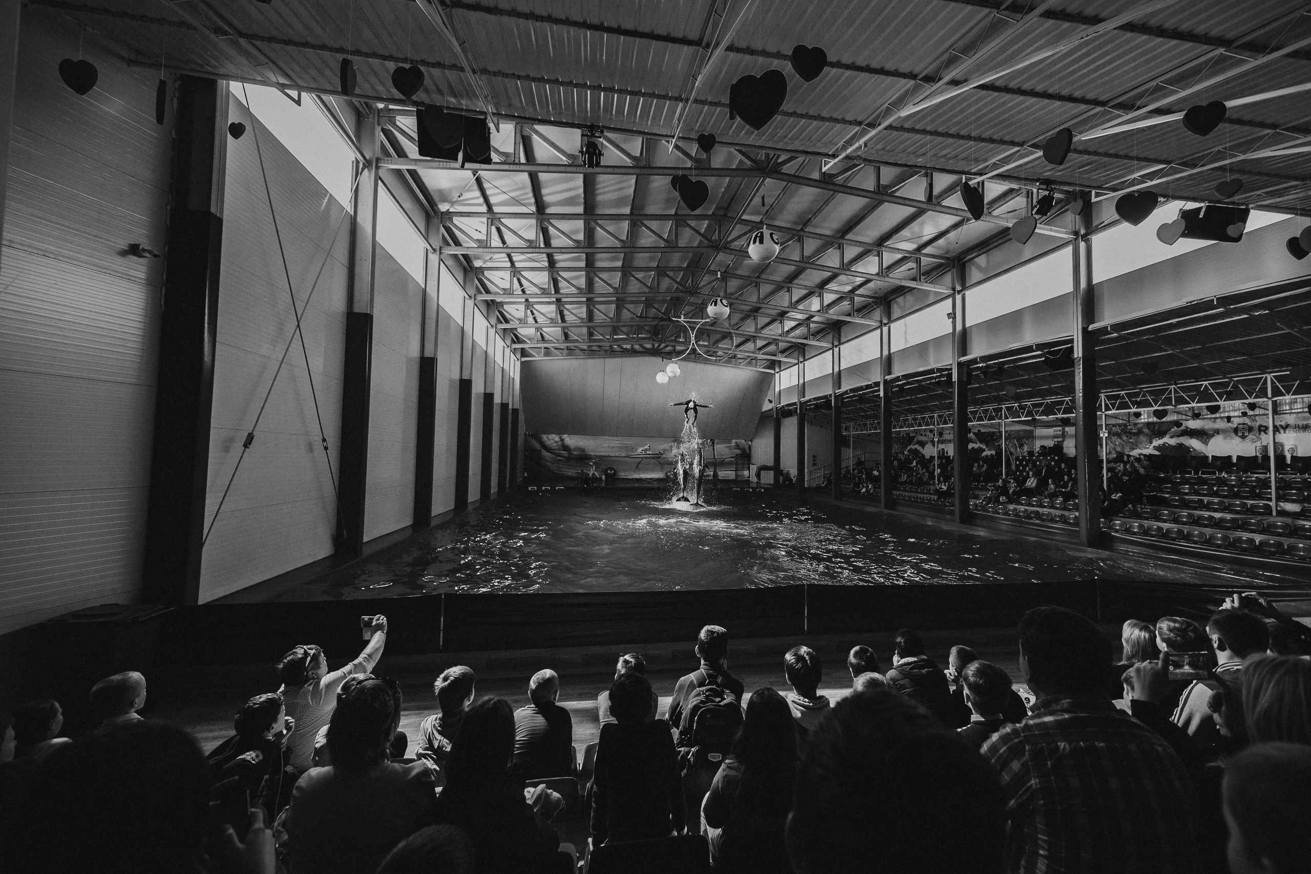 чёрно-белая  социальная фотография  «Доброе сердце» общий вид дельфинария люди бассейн дельфины