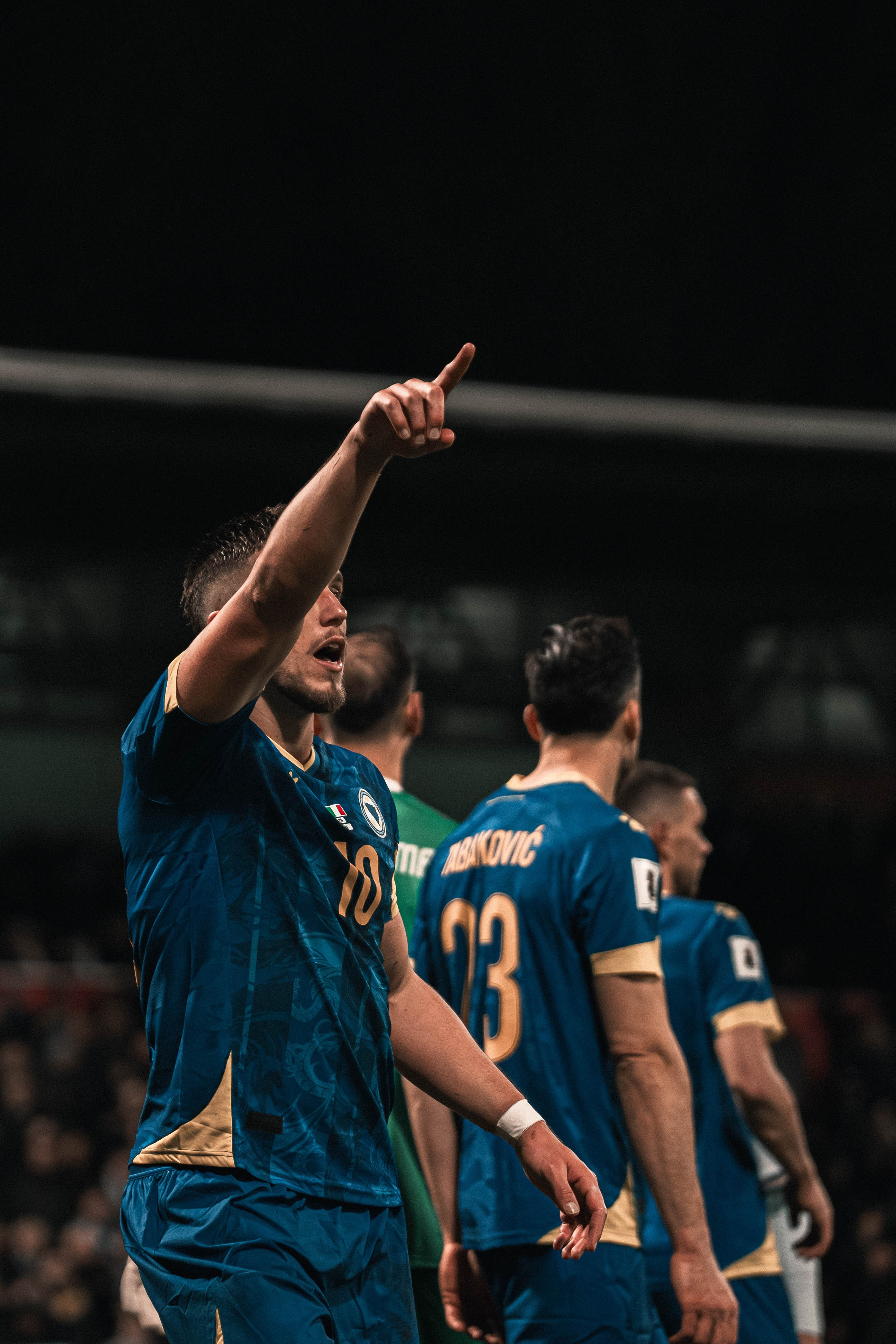Bosnia and Herzegovina — National Team. Ammar Šabić