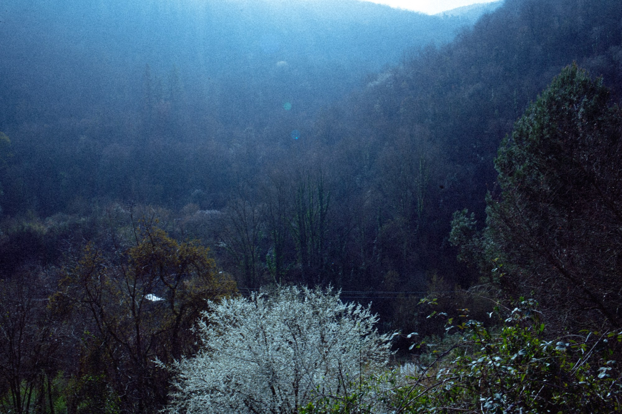 TRIP TO THE MOUNTAINS. Marina Kálcheva – Photographer & Visual Artist in Barcelona