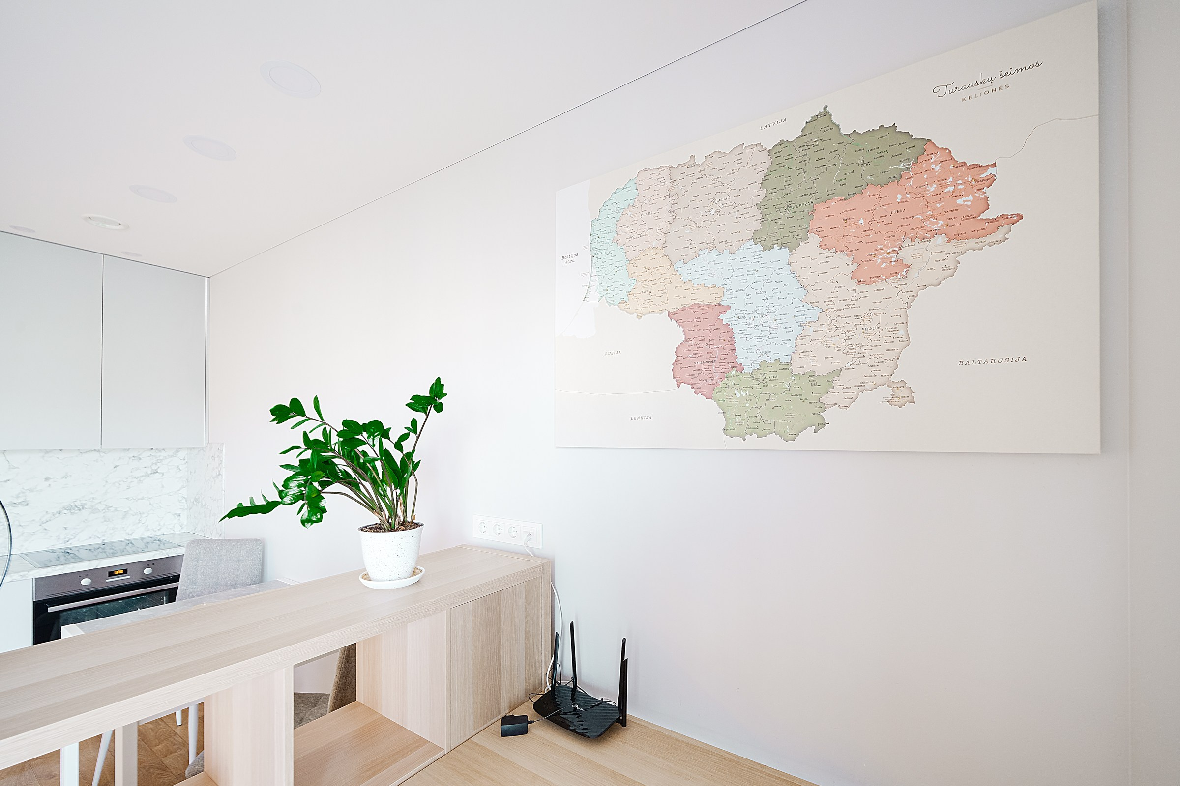 Budiniškių g. Elina Sapiega fotografė Vilniuje