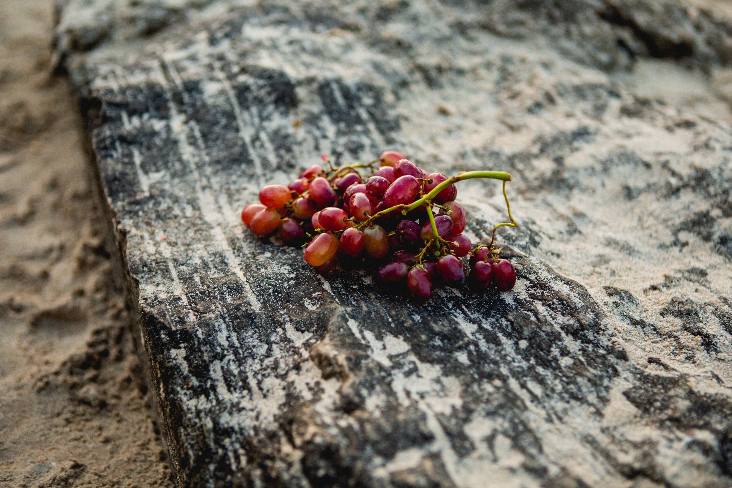 GIVAT OLGA. Https://shi-photo.com/