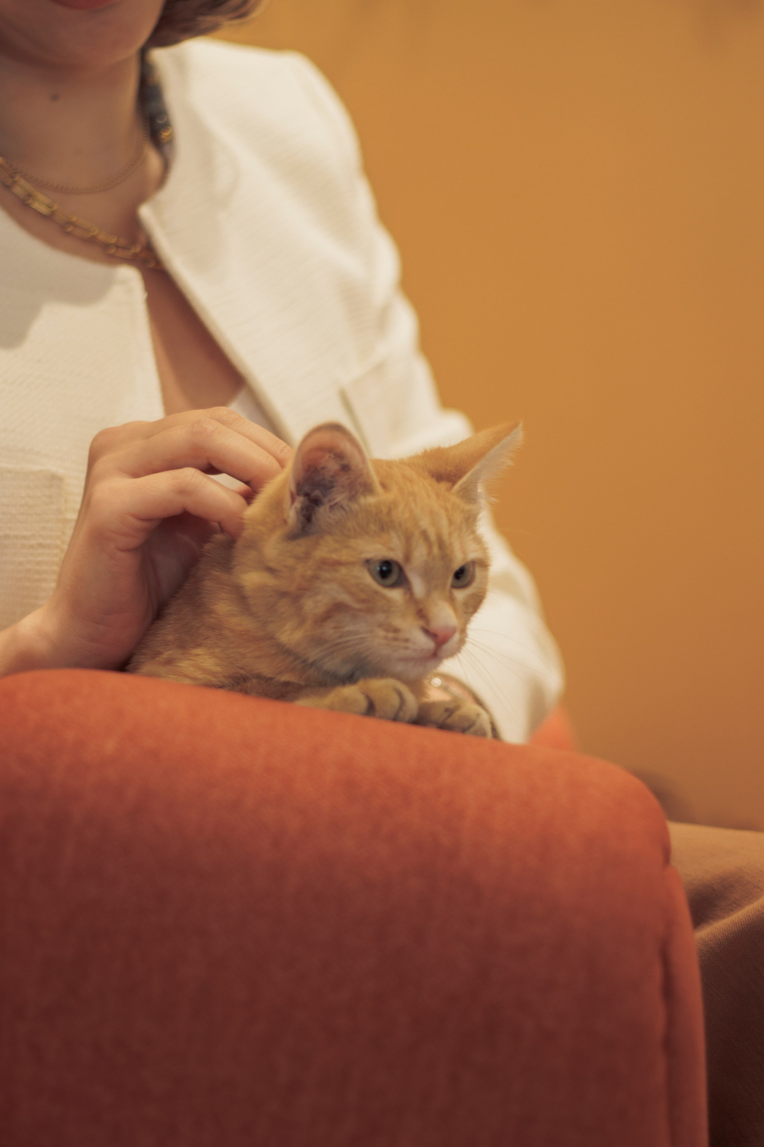 Анна. Фотограф в Ташкенте, Аксенова Дарья