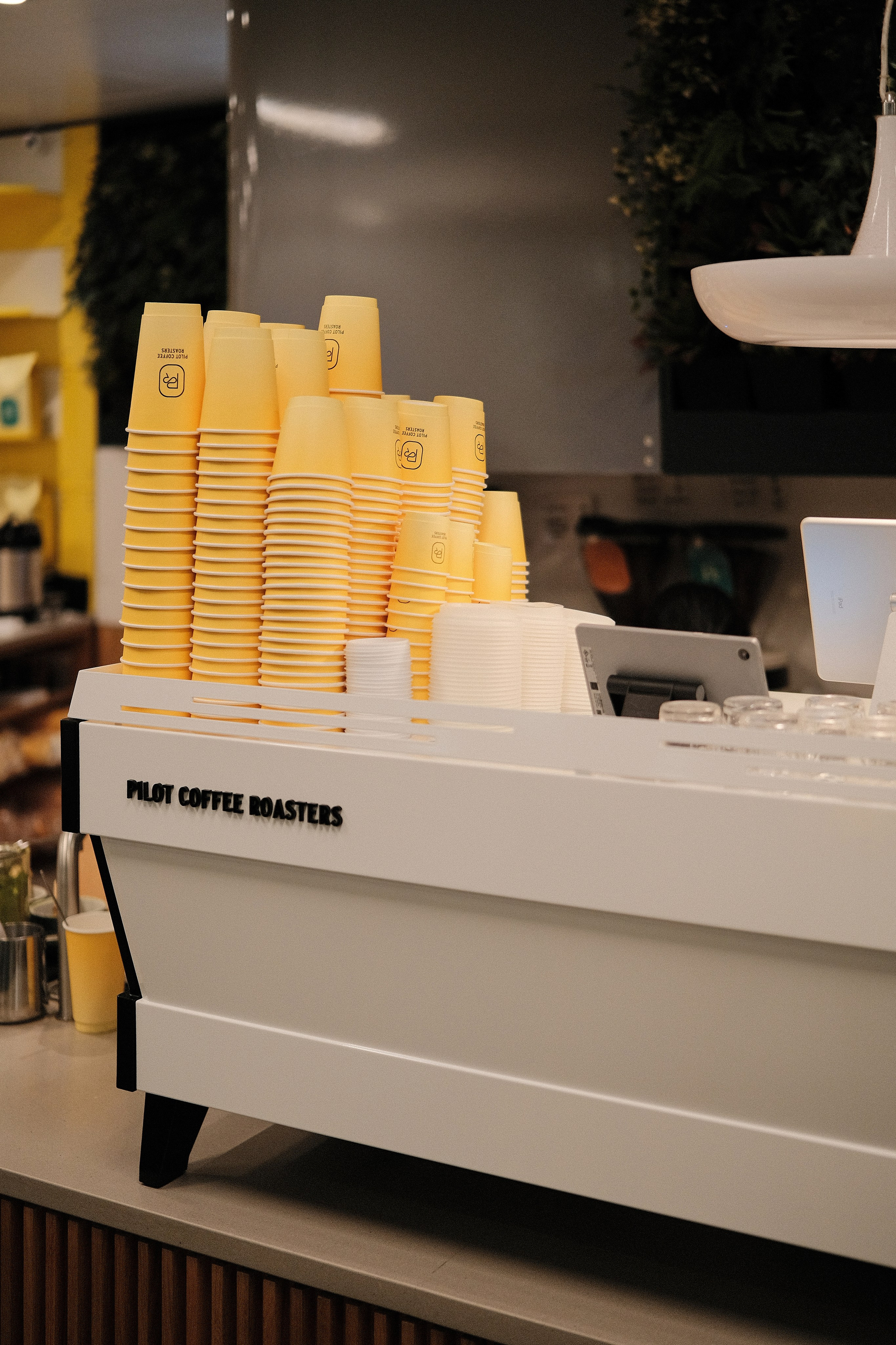 Team & Brand Photography Portfolio | Vancouver. Branding & Lifestyle Photography in Vancouver | Max Fomin