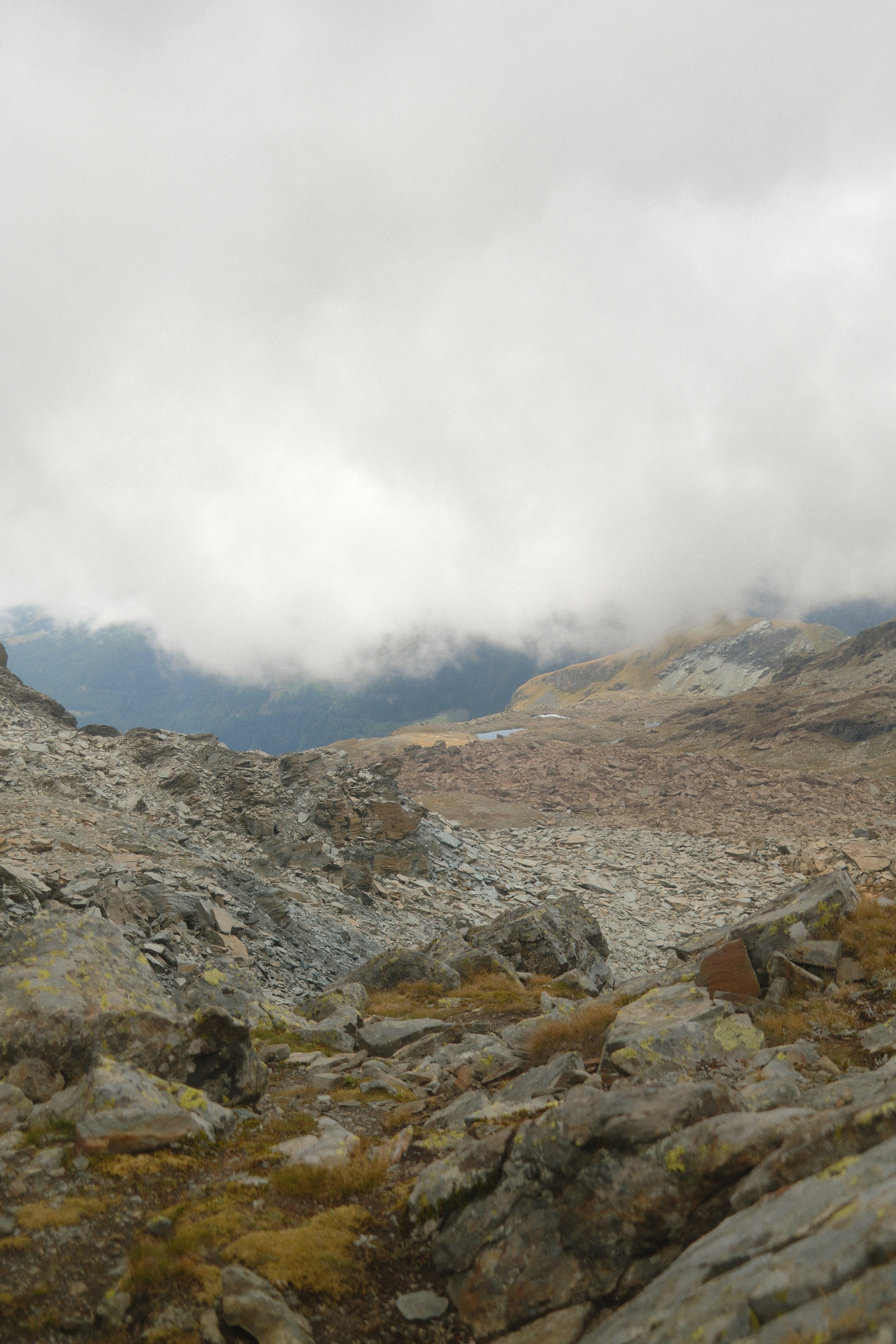 Castor. Patricia Morenci — Mountain Adventures for the Wild at Heart