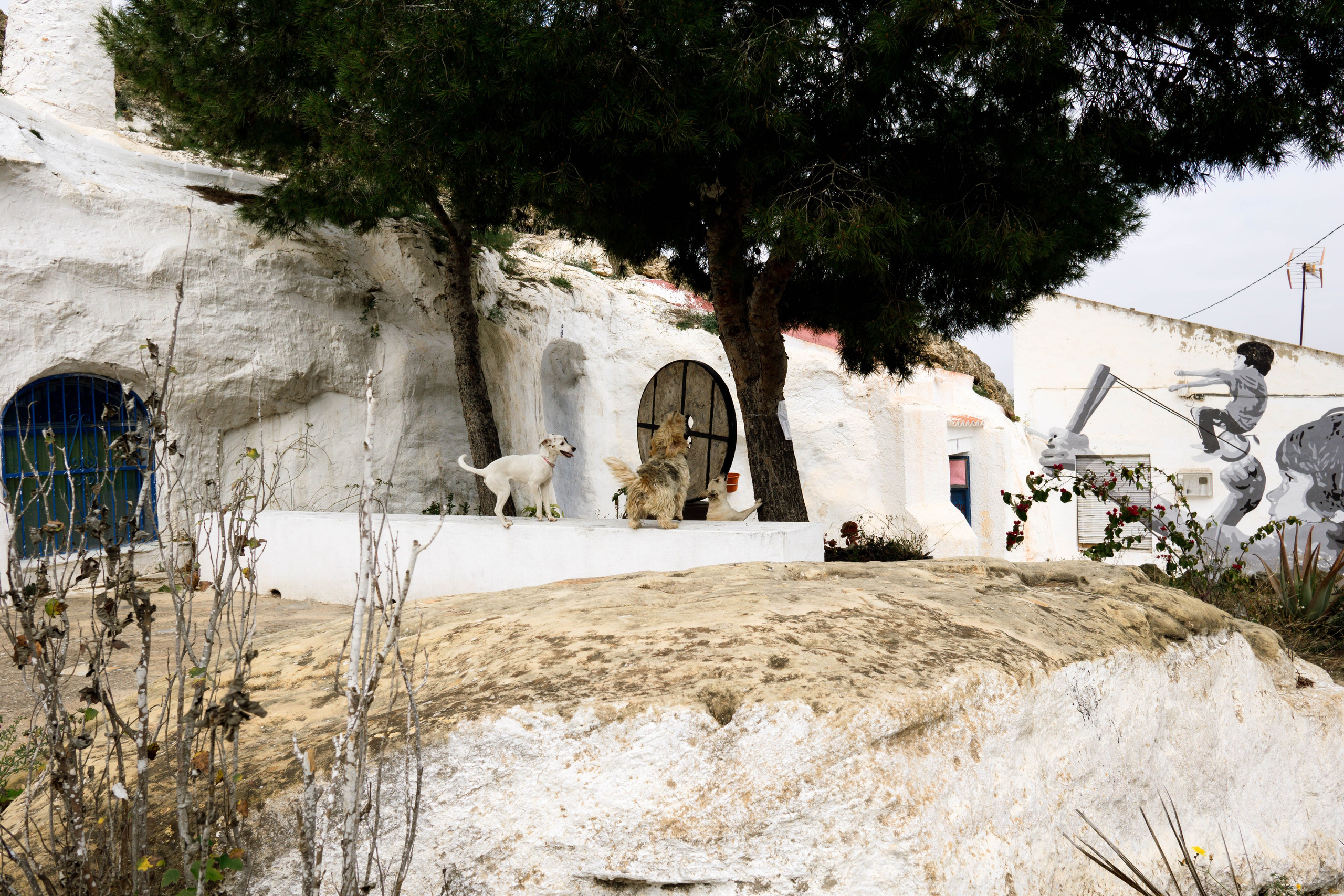 Rojales. Alba del Norte Studio