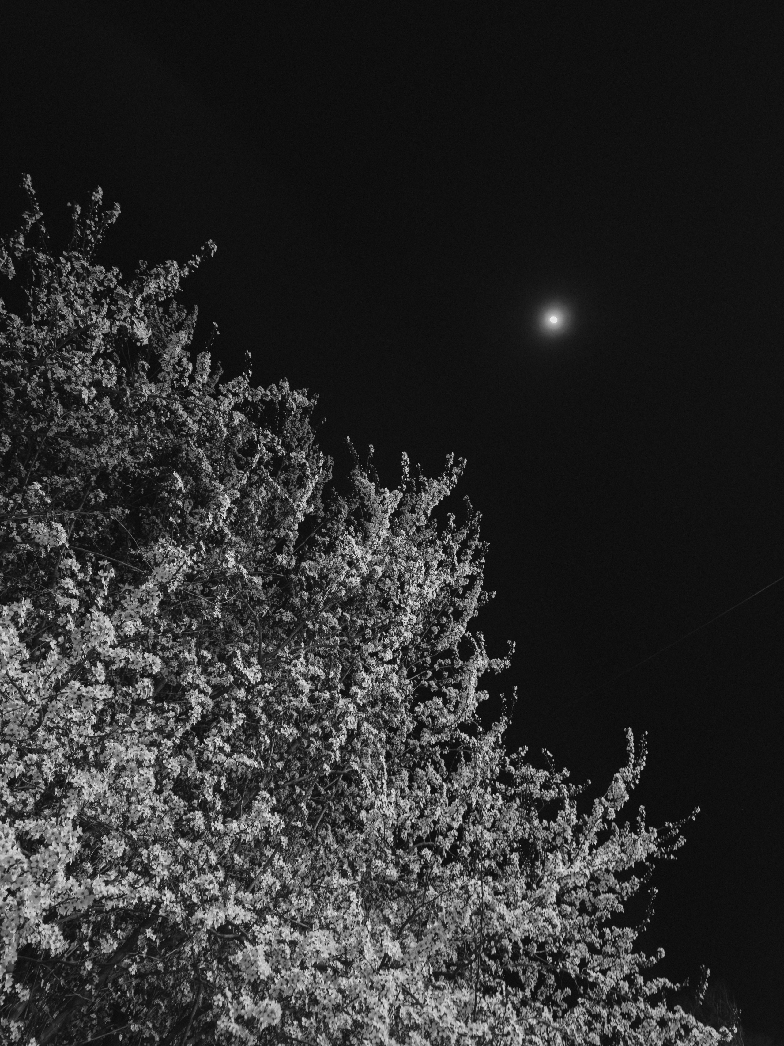 Мобильная съемка. Анастасия Еремина | Фотограф в Сербии | Персональные и бизнес-фотосессии в Белграде и Нови Саде