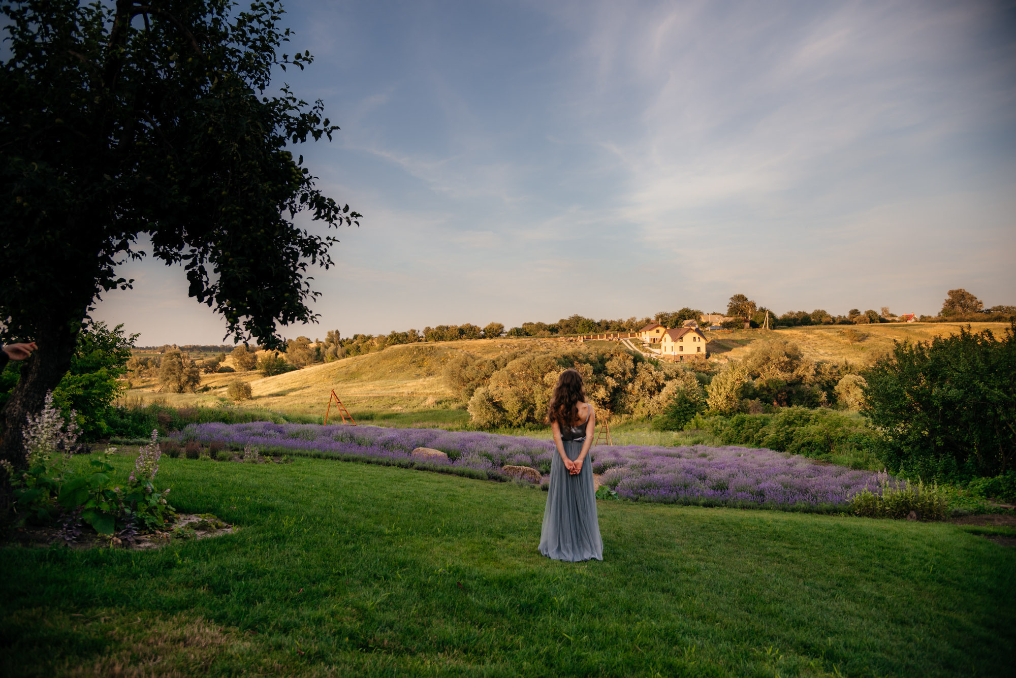 Lavanda Love. Family Lifestyle Photography