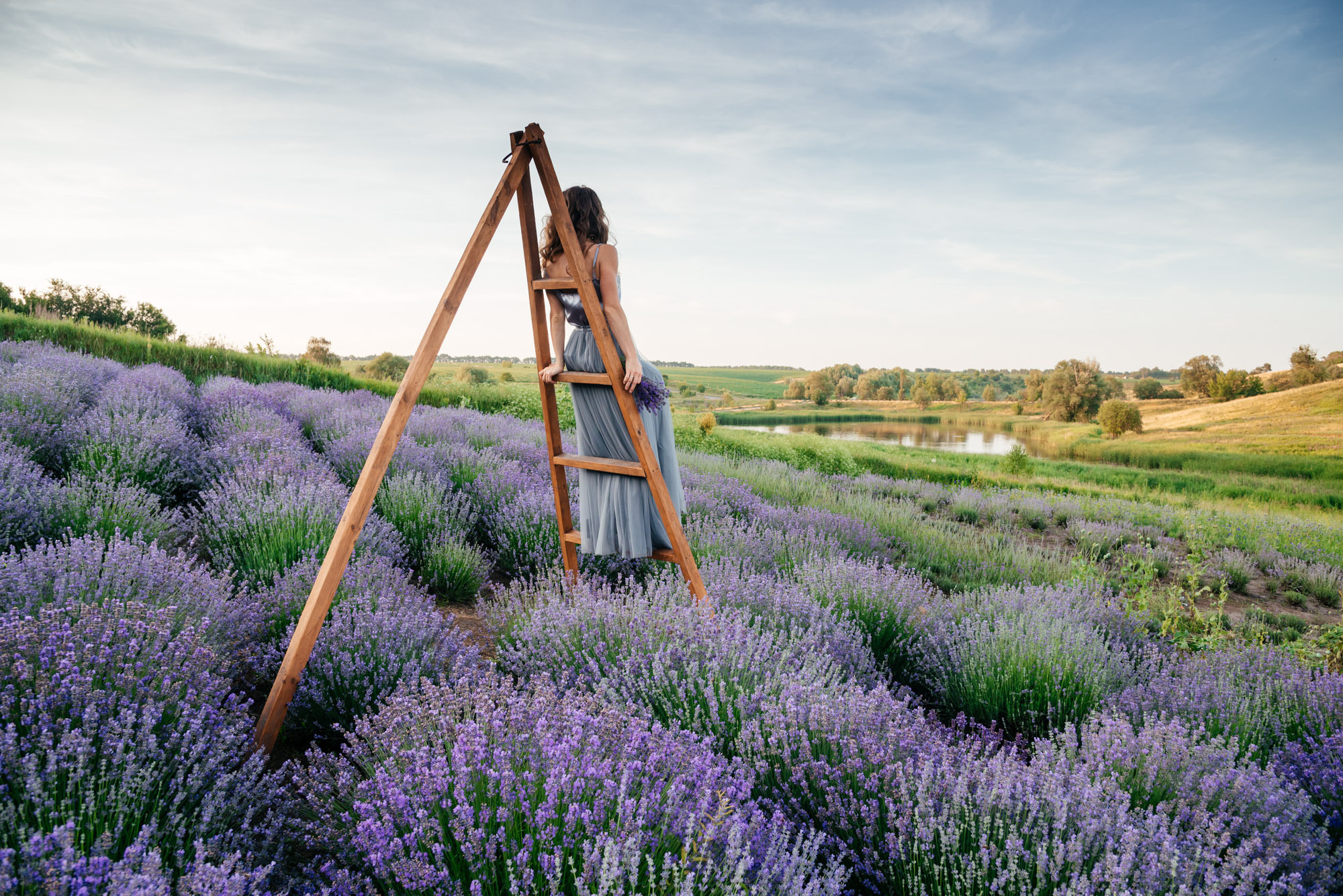 Lavanda Love. Family Lifestyle Photography