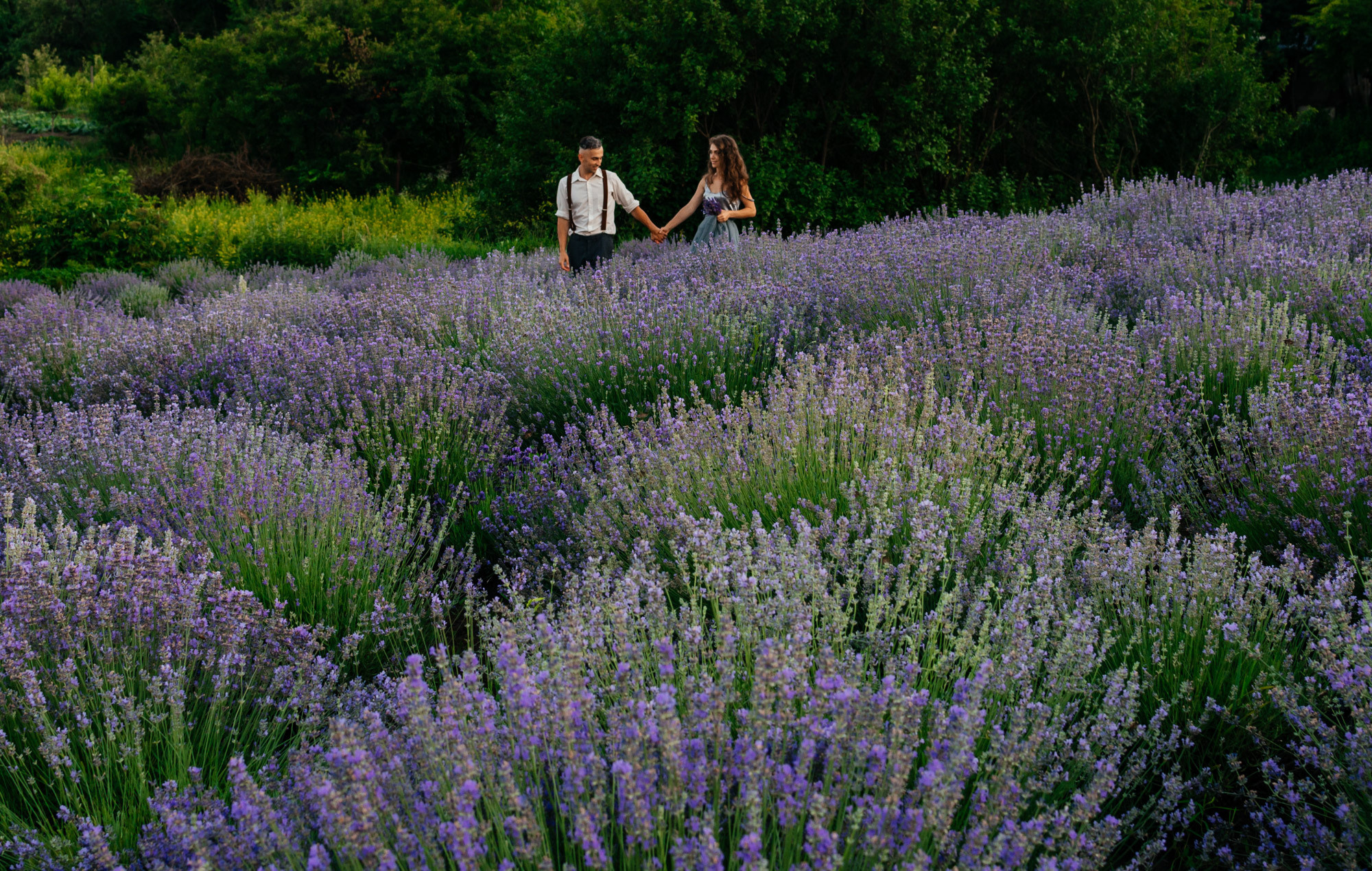 Lavanda Love. Family Lifestyle Photography