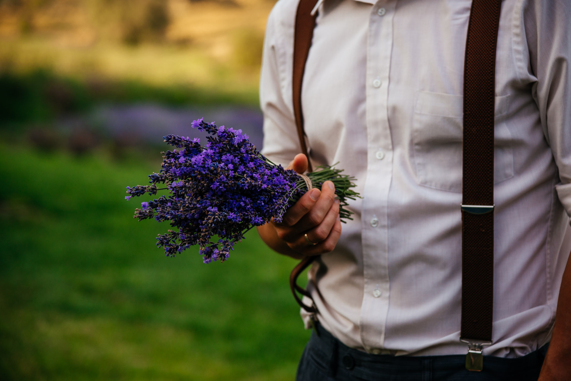 Lavanda Love. Family Lifestyle Photography