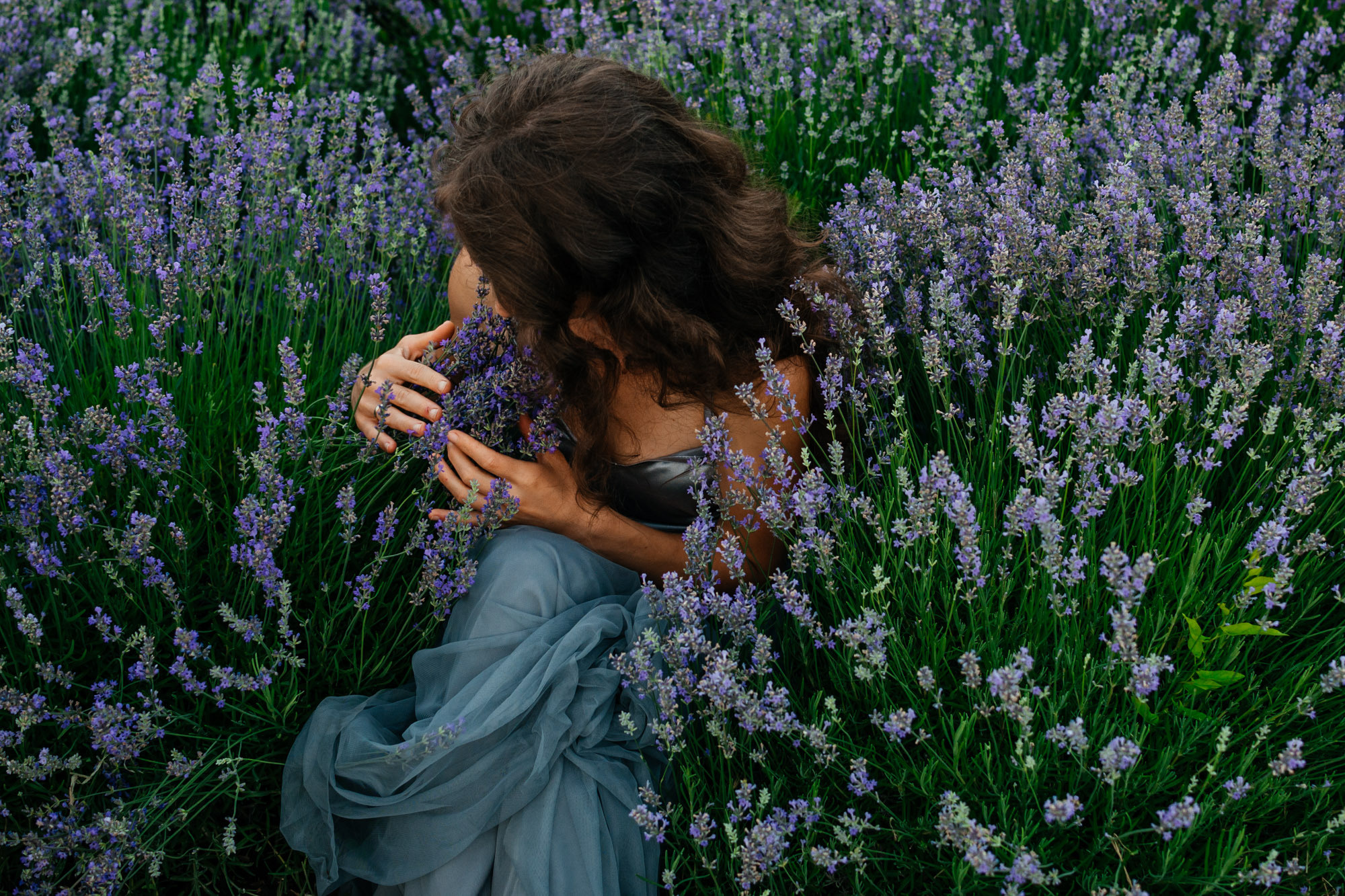 Lavanda Love. Family Lifestyle Photography