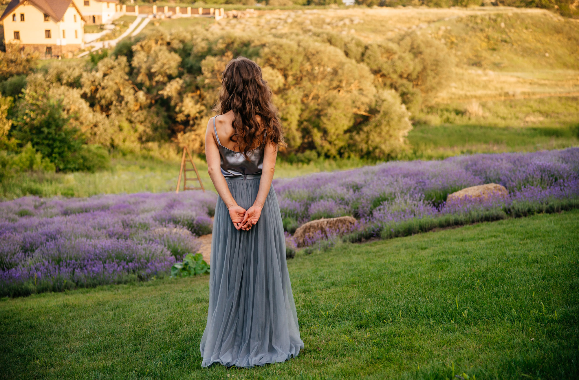 Lavanda Love. Family Lifestyle Photography