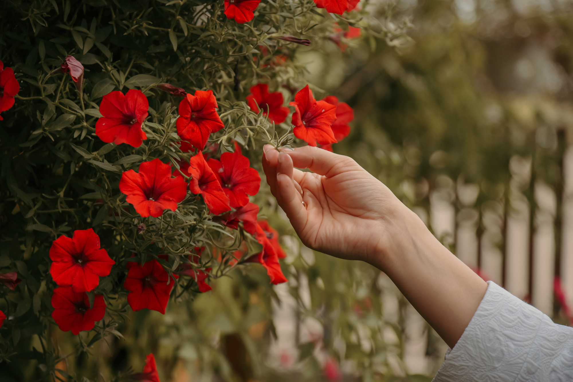 Инна&Николай. Family Lifestyle Photography