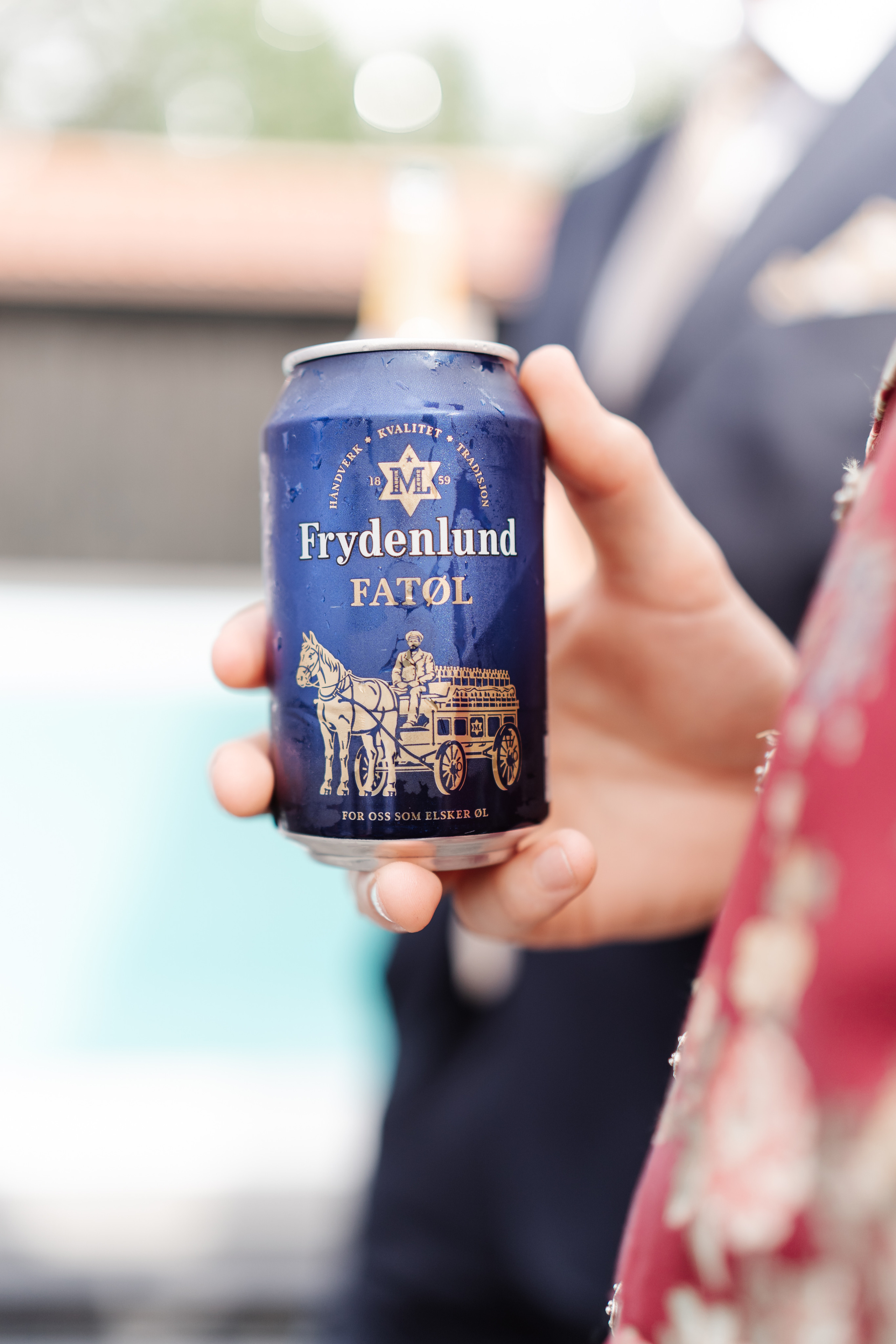 Bryllupsfotograf fjell i Norge. Bryllupsfotograf i hele Norge