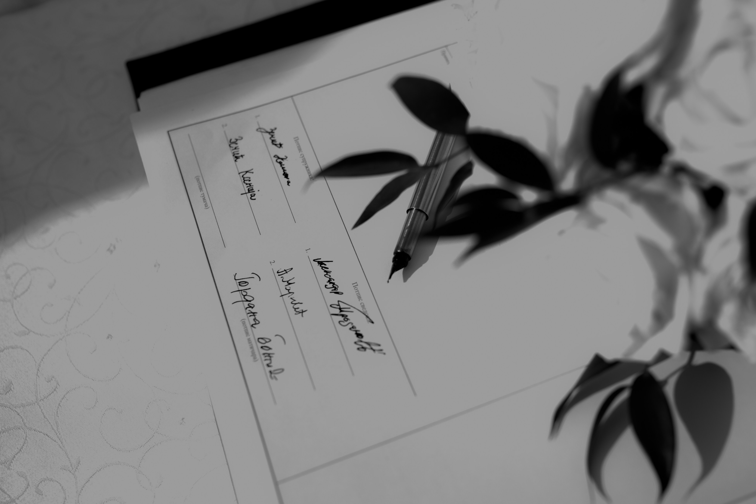 K&N. Wedding & Family photographer Jelena Anđelić