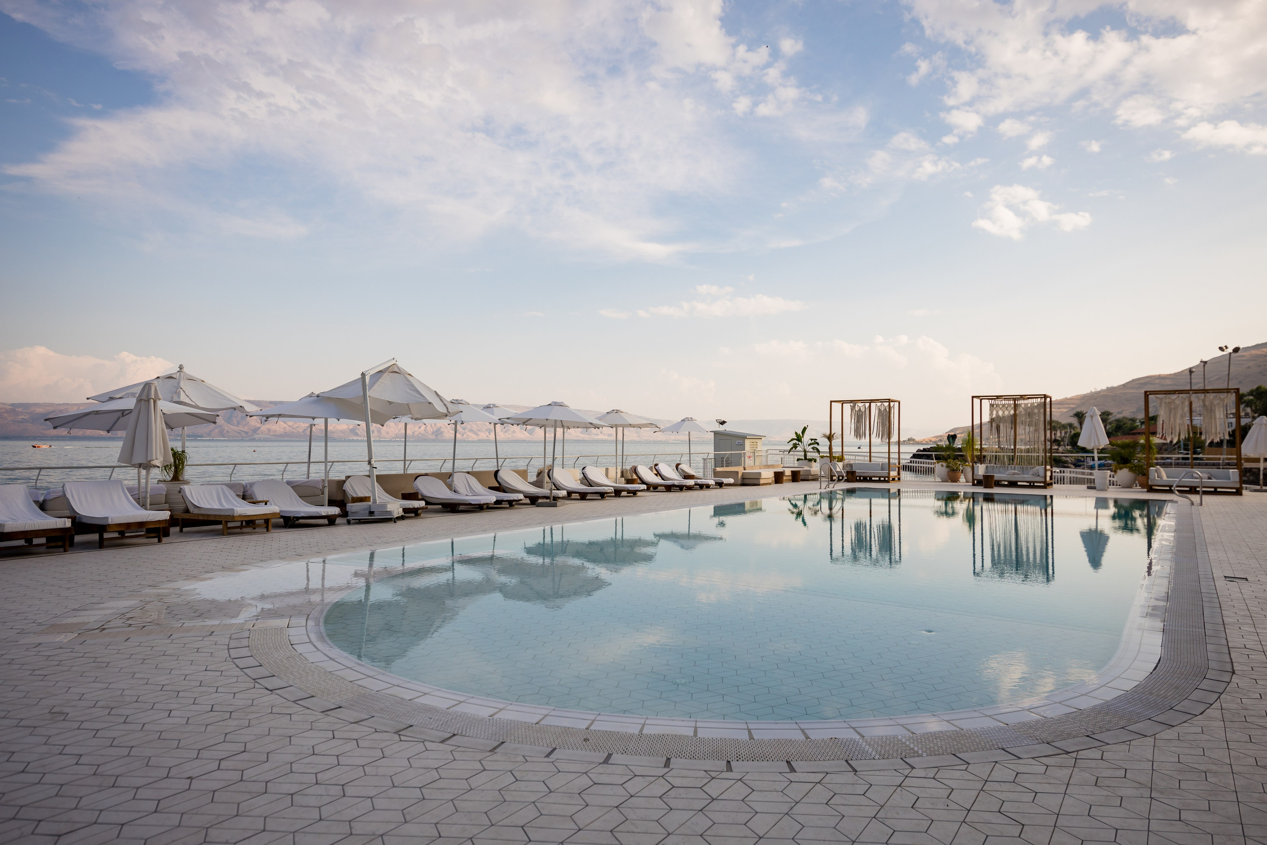 זרעי גדרה — SYNGENTA. AMIR BUCHNIK PHOTOGRAPHER