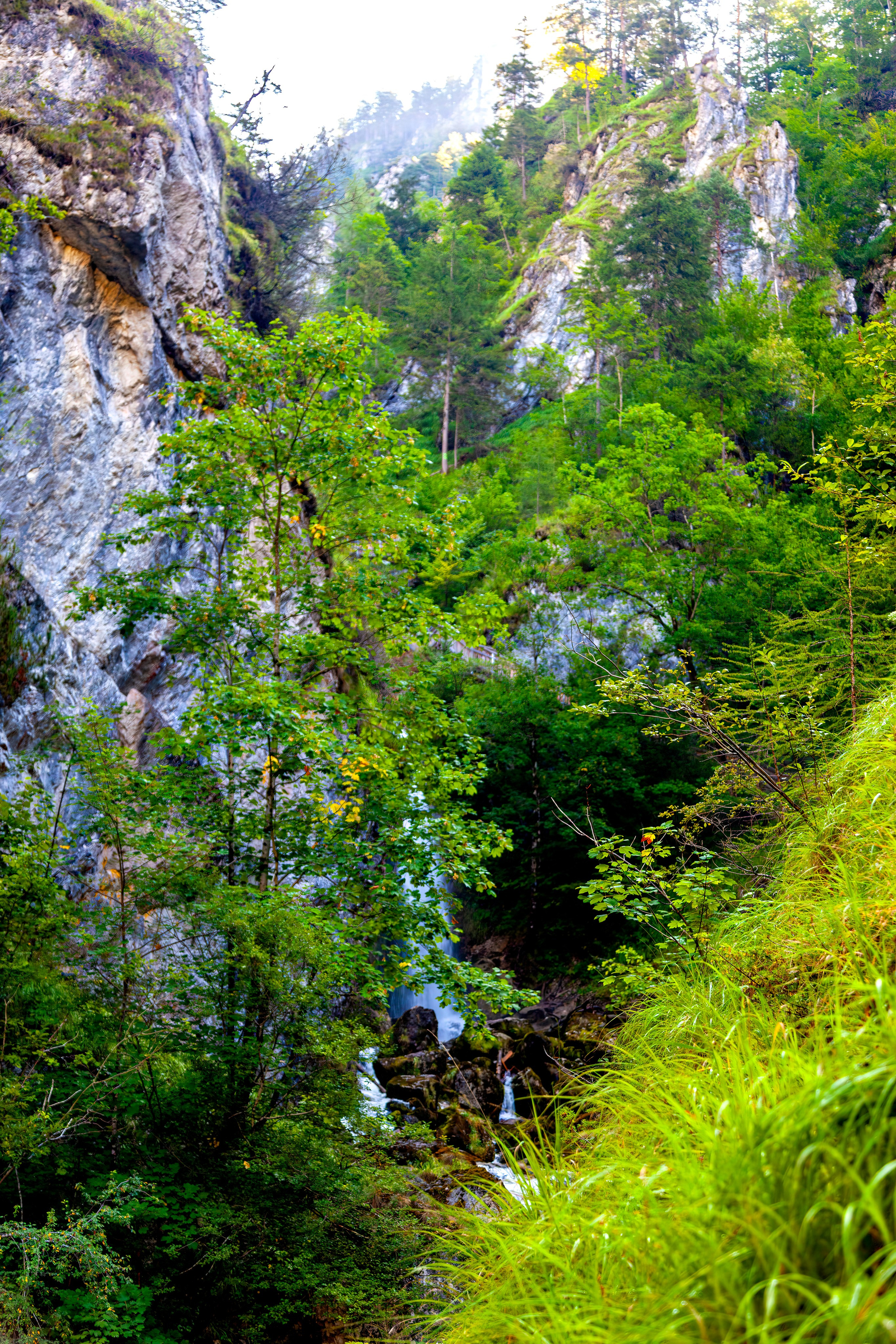193.Wasserloch Klamm.Palfau.18.8.2025. Путешествия в формате 360......