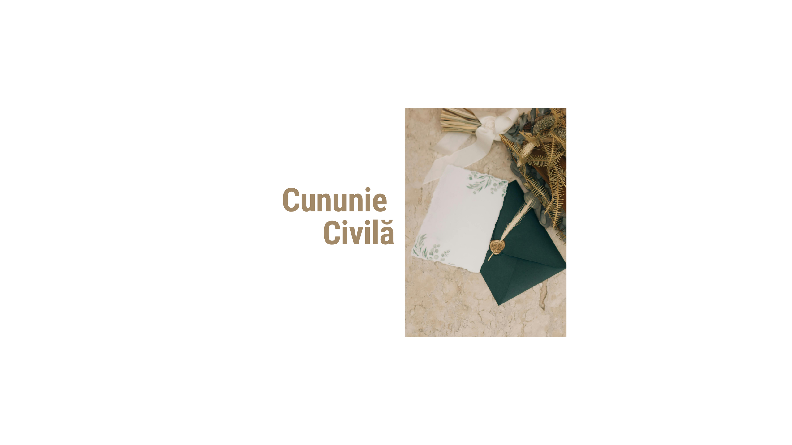 PORTOFOLIU CUNUNIE CIVILĂ. Bogdan Vancea | Fotograf Nunta Ploiești