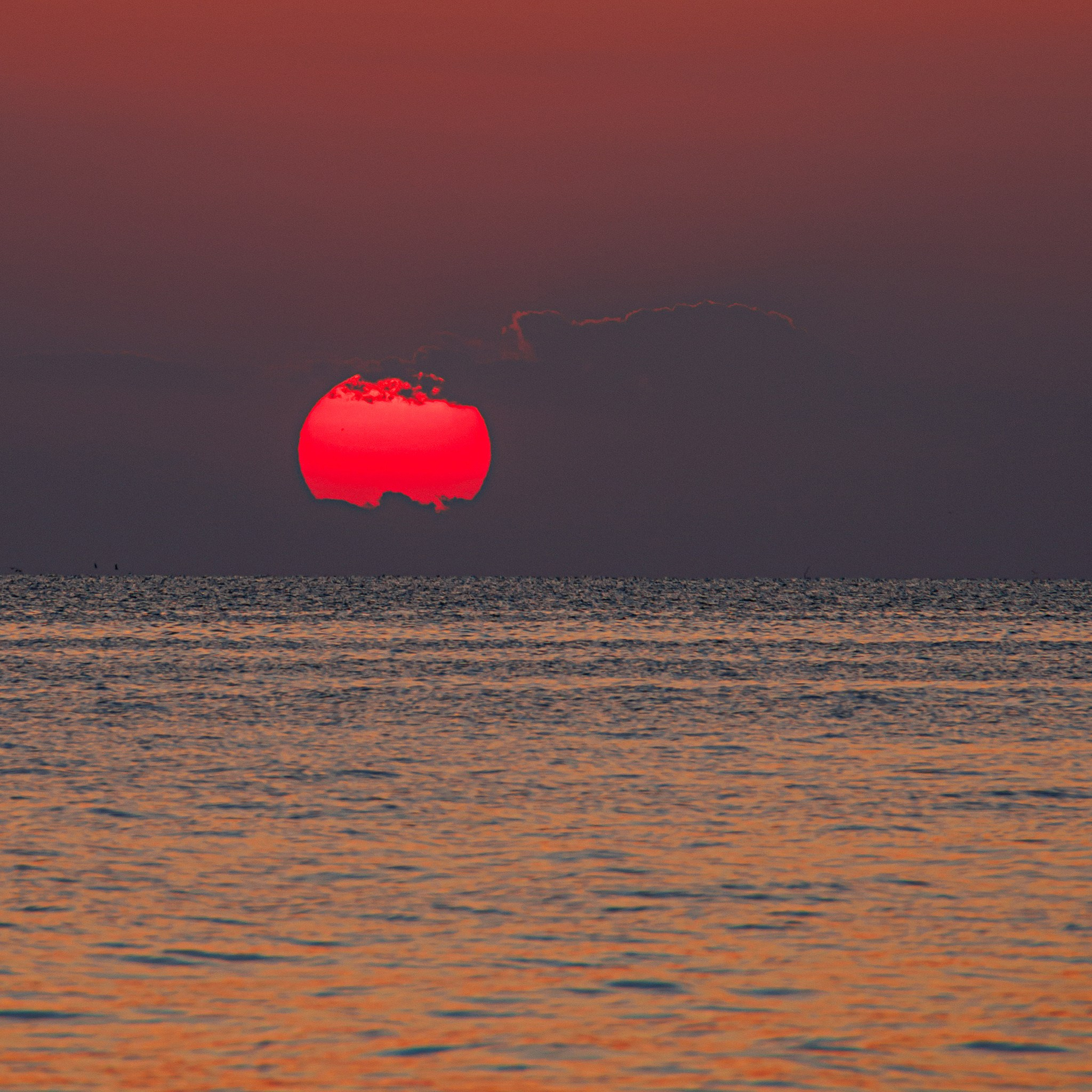 Landscape. Photography by Mircea Maieru